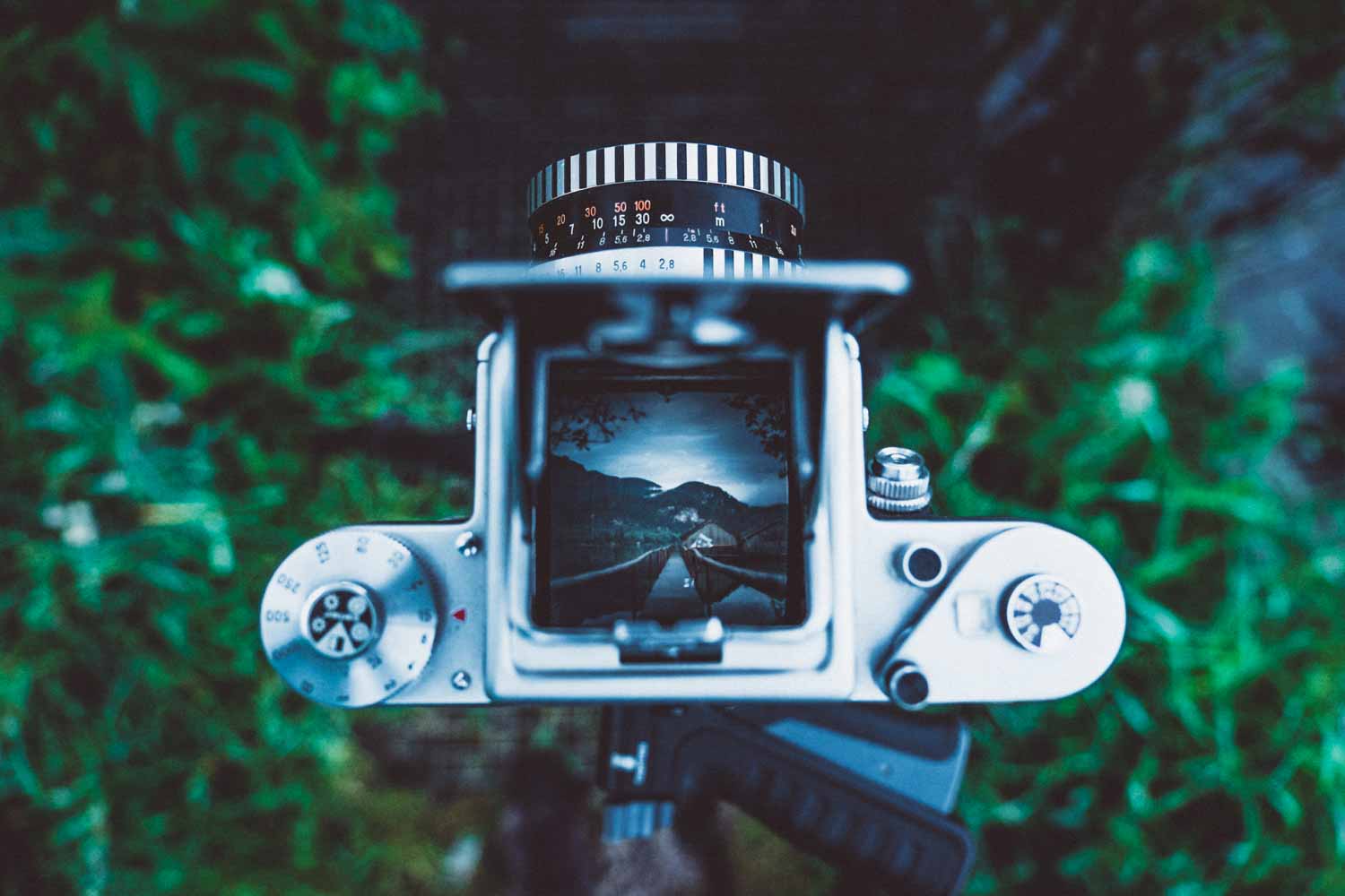 Blick durch den großen Lichtschachtsucher der Pentacon Six