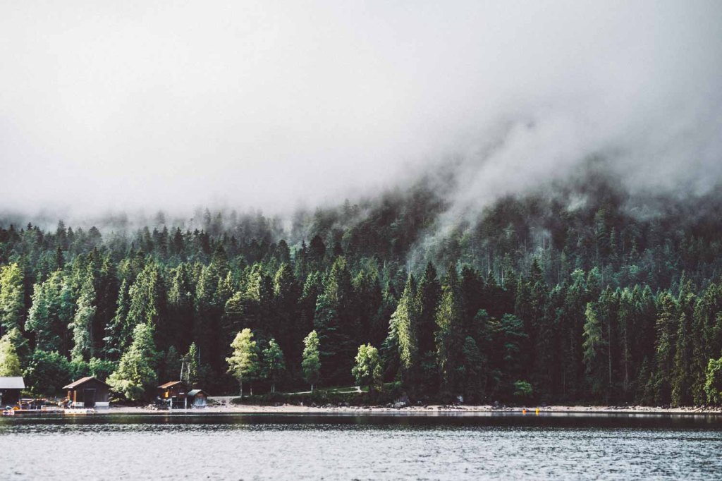 Wolkenverhangene Wälder am Südufer des Eises