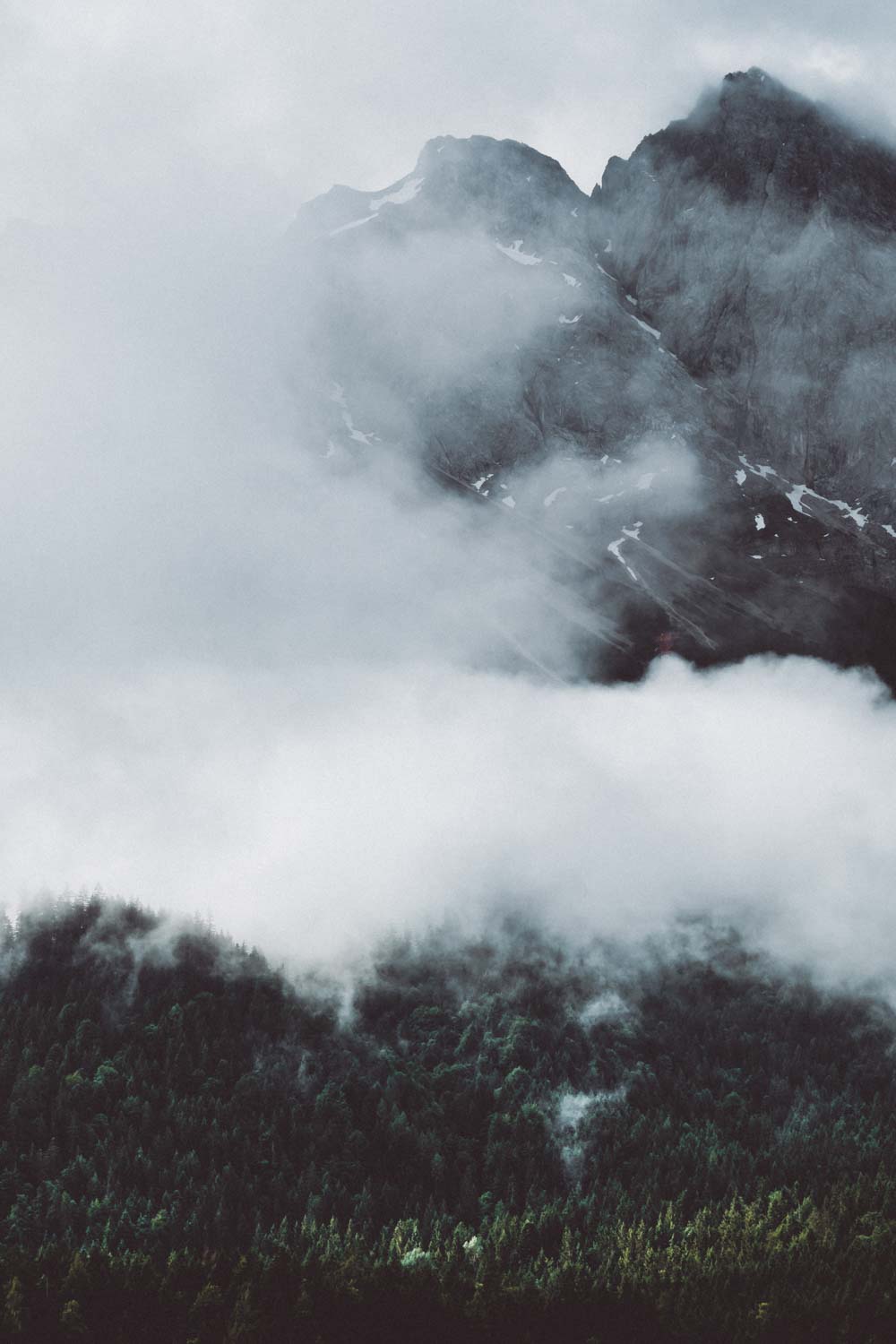 Die wolkenverhangenen Wälder an der Bergwänden