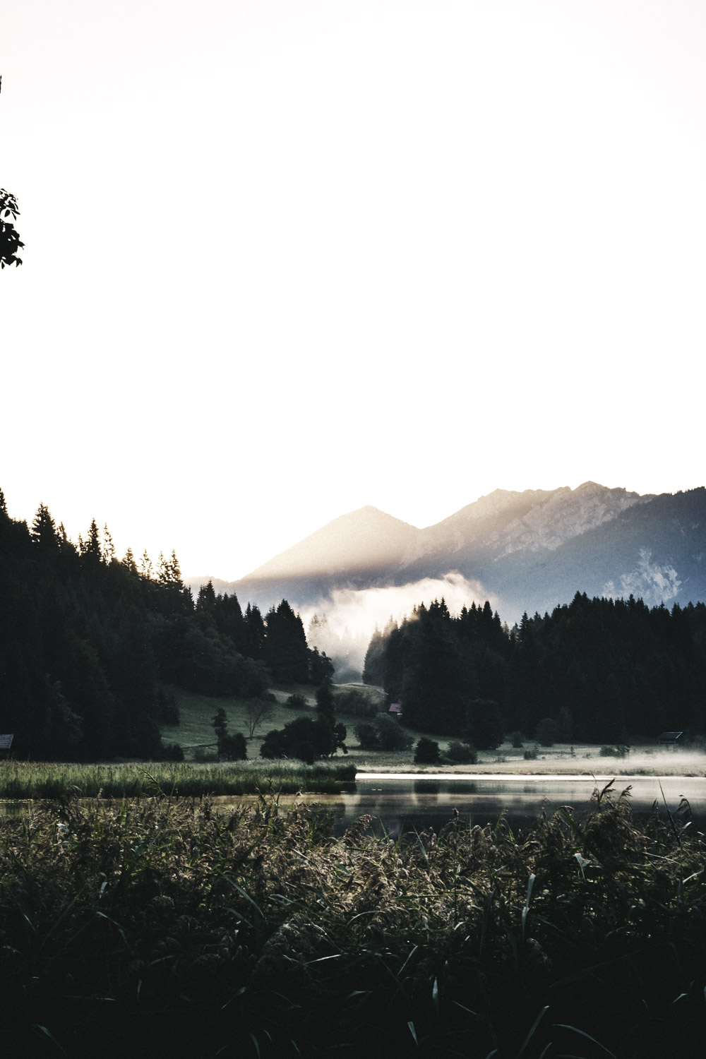 Durch den Nebel gezeichnetes Licht