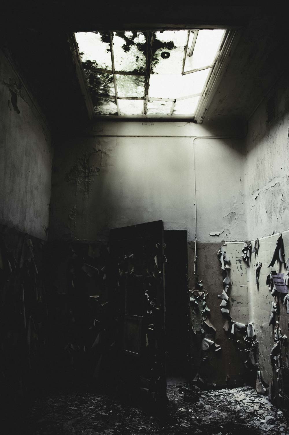 Licht fällt durch das zerbrochene und mit Mos bedeckt Deckenlicht.