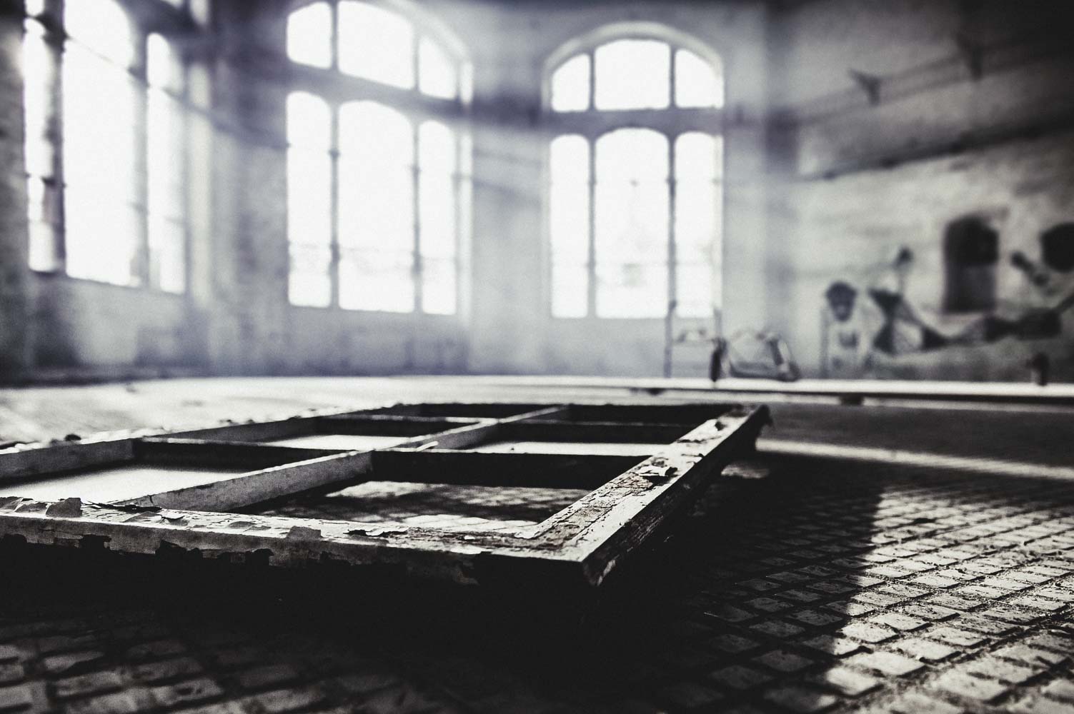 Der Nebel zeichnet das einfallende Licht im Hintergrund