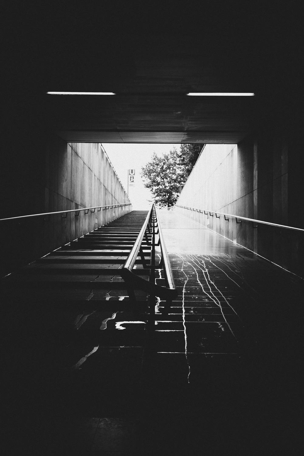 Kleine Rinnsale des Regenwassers suchen sich ihren Weg hinab