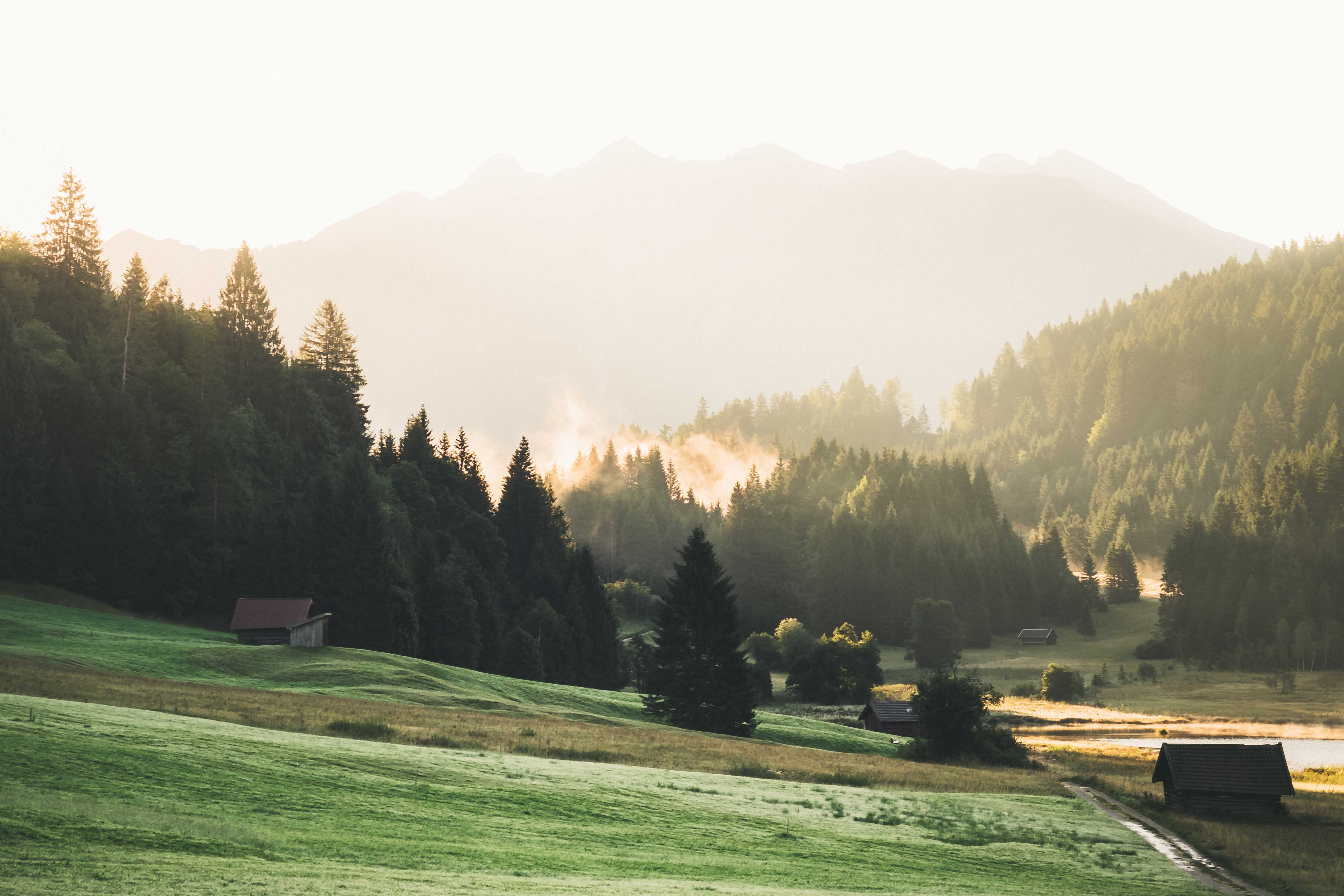 Das erste Licht des Tages durchdringt den Wald rund um den Geroldsee.