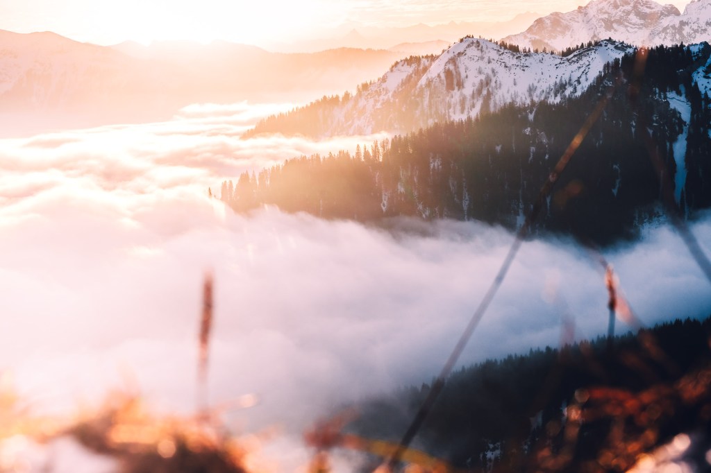 Der Blickwinkel mit dem 56mm Fuji XF wirkt fast wie ein Weitwinkel. Durch die die niedrige Perspektive entsteht ein sehr schönes Licht.