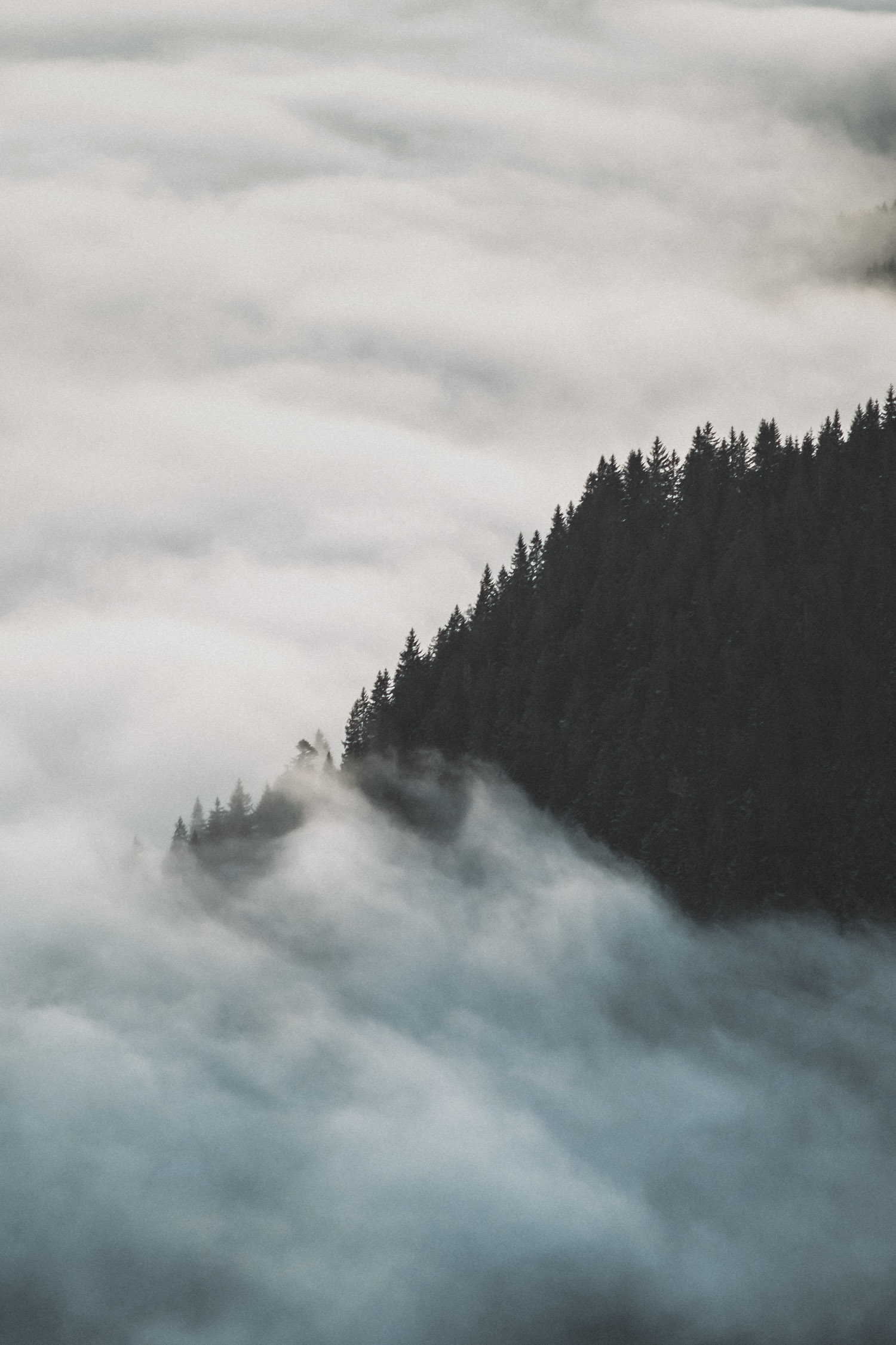 Aufstieg zum Wallberg-6