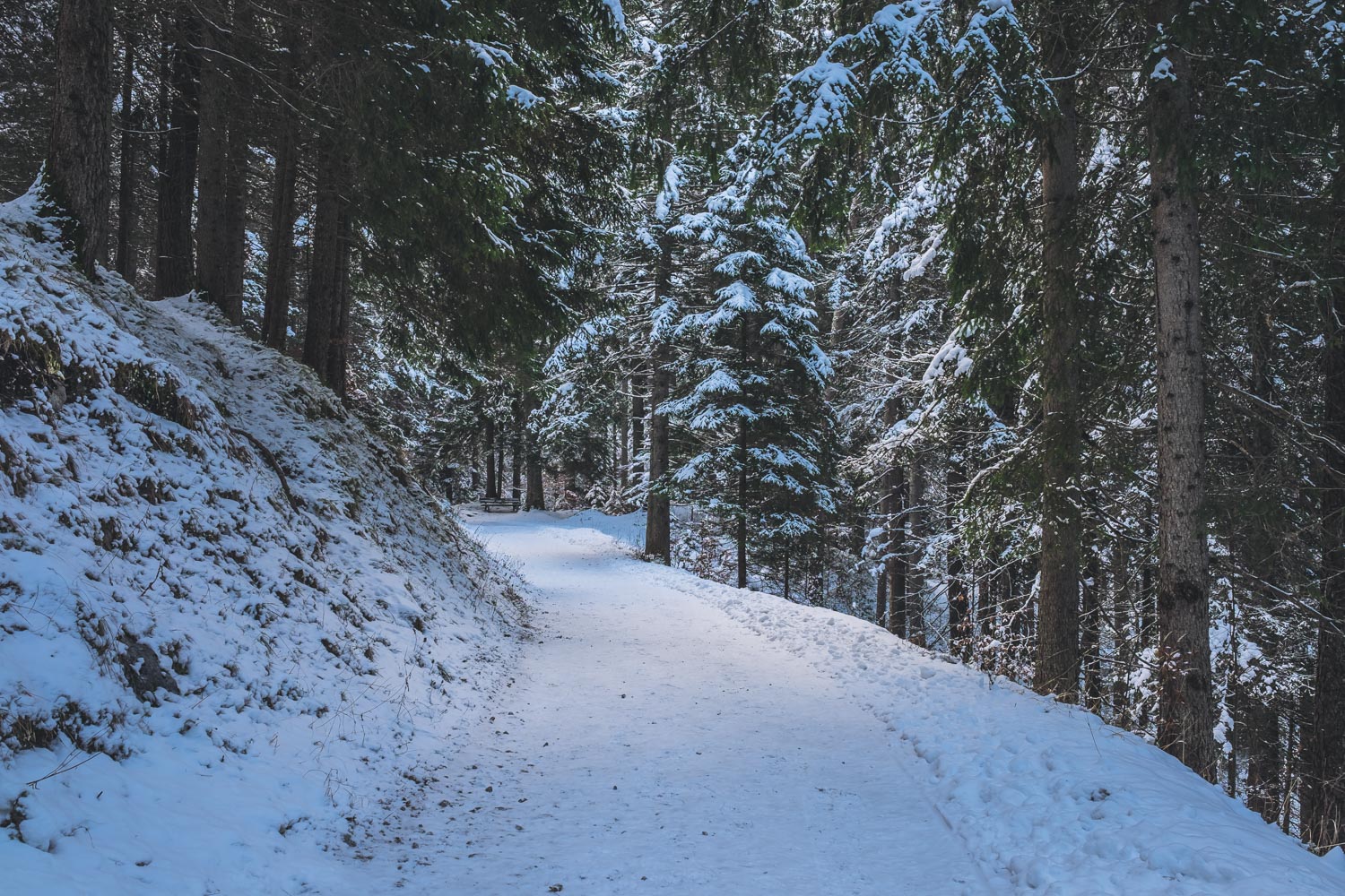 Unterwegs-am-Eibsee-im-Winter-10