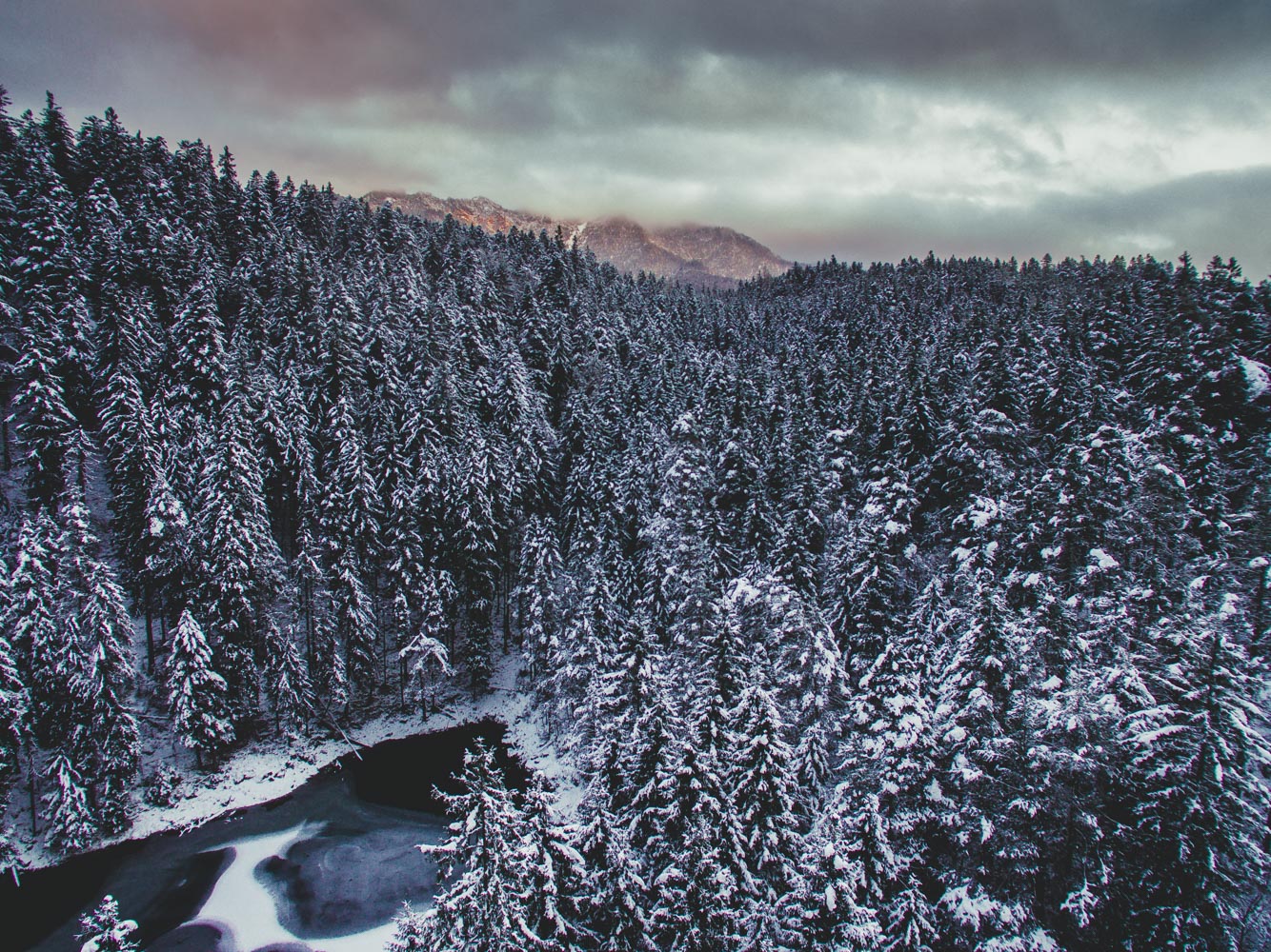 Die aufgehende Sonne brachte ein wenig Farbe in die sonst recht graue Winterlandschaft.
