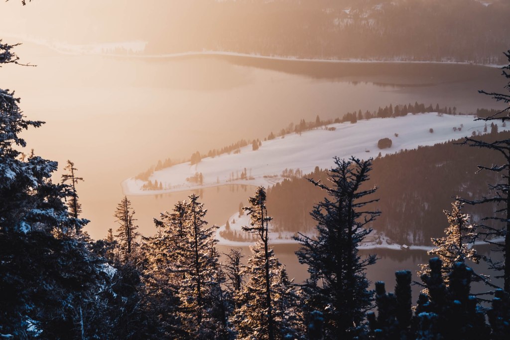 Blick durch den dichten Bergwald hinab auf den Walchensee. Der Nebel sorgte für ein schönes und weiches Licht.