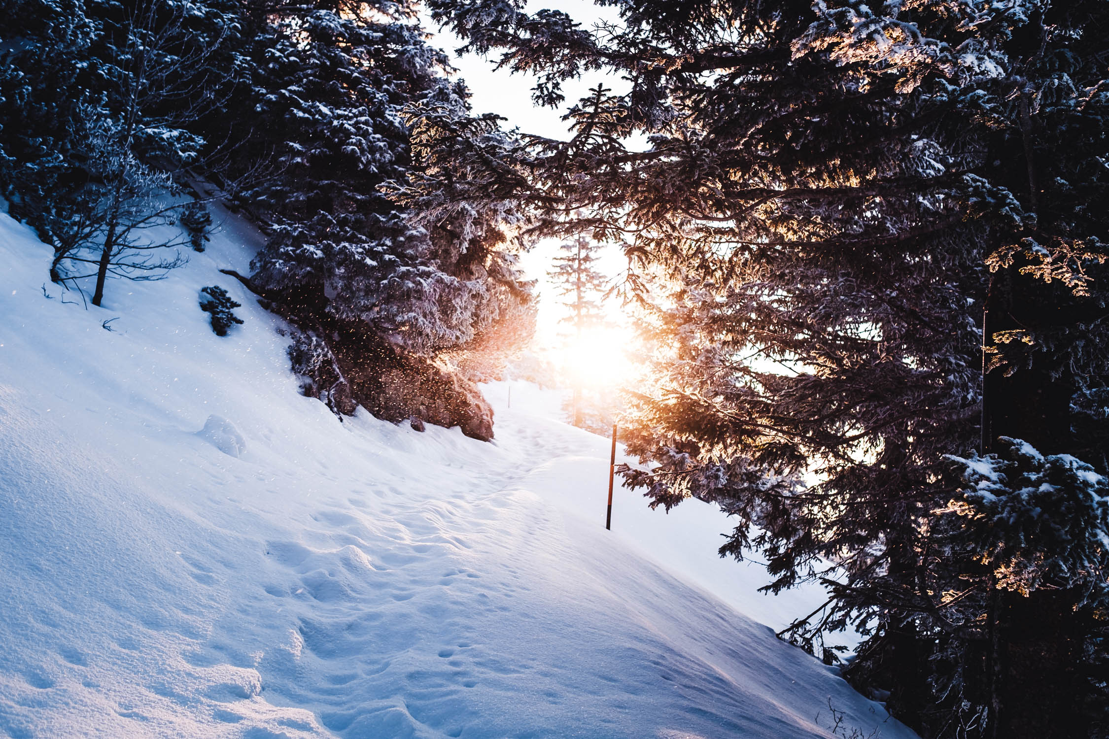 Der verschneite Weg unterhalb des Gipfels bot nochmals klasse Motive. Die tiefstehende Sonne sorgte für ein weiches Licht.
