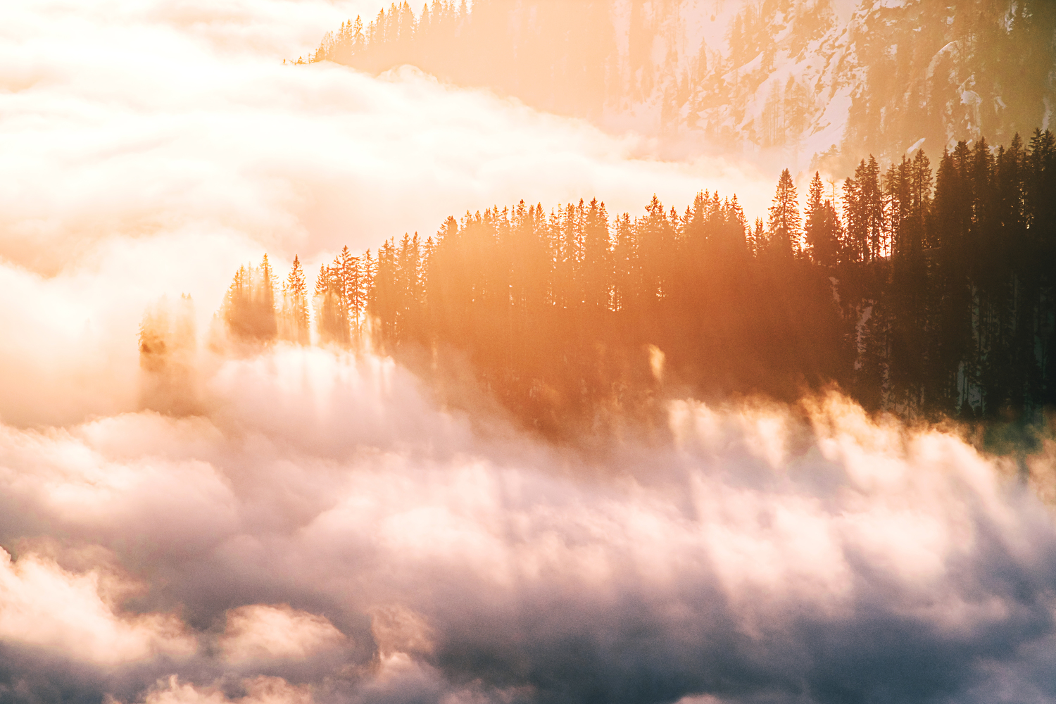 Der Januar zeigt einen Sonnenaufgang über den Wolken am Wallberg. Als die Sonnen über die umliegenden Gipfel stieg, zauberte ihr Licht dieses Schauspiel aus langen Schatten der Bäume des Bergwalds