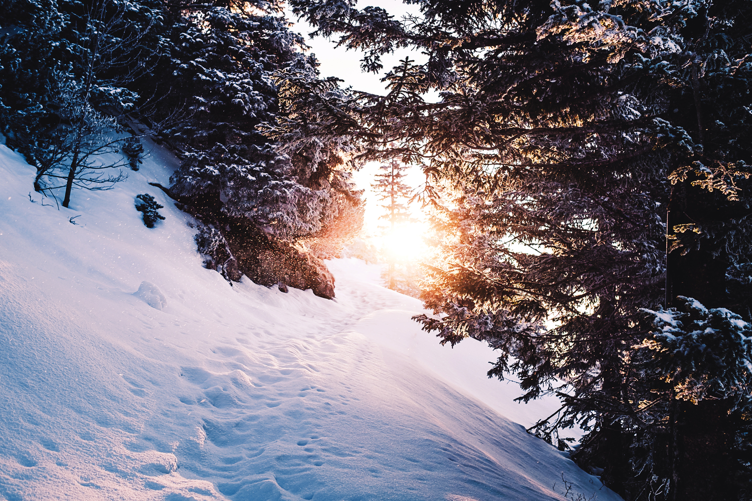 Feburar-Sonnenaufgang-am-Herzogstand