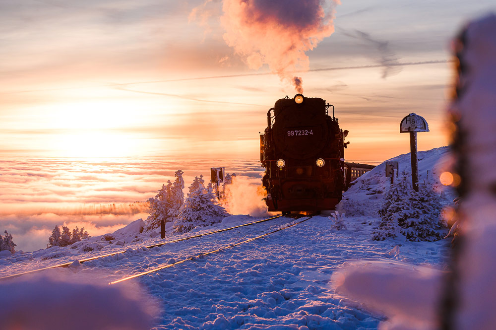 Der letzte Zug der Brockenbahn fährt im Abendlicht zum Bahnhof hinauf.