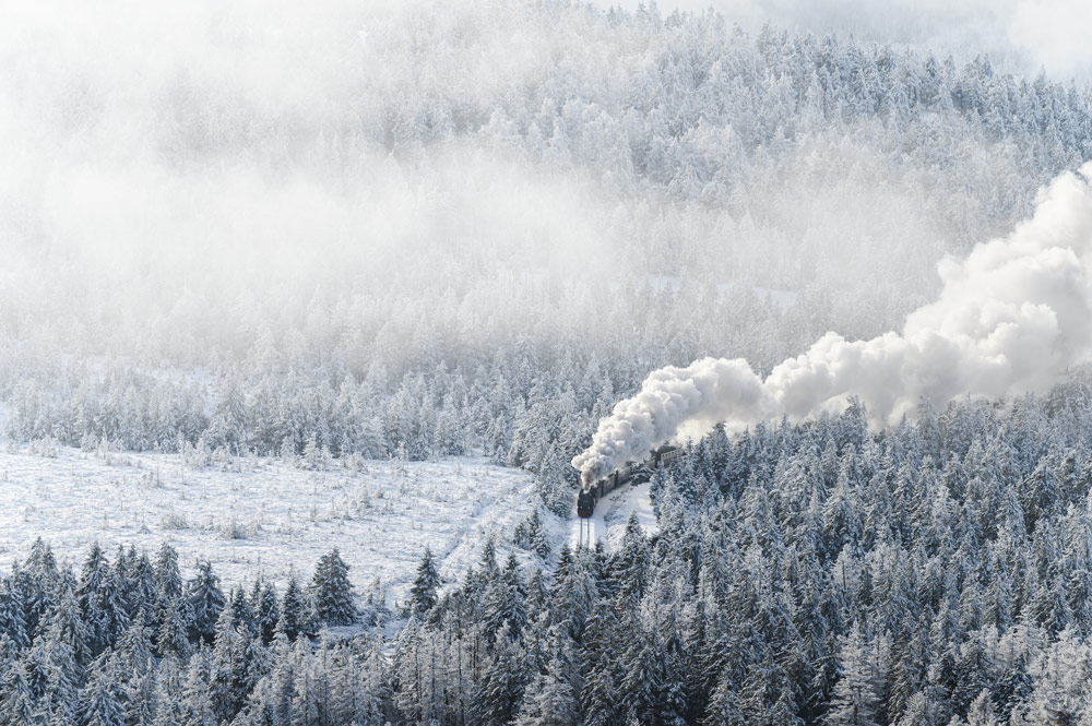Die Brockenbahn bahnt sich Ihren Weg durch den verschneiten Wald.