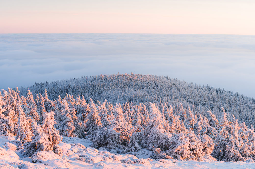 Sanftes Abendlicht streift über die verschneiten Wälder.