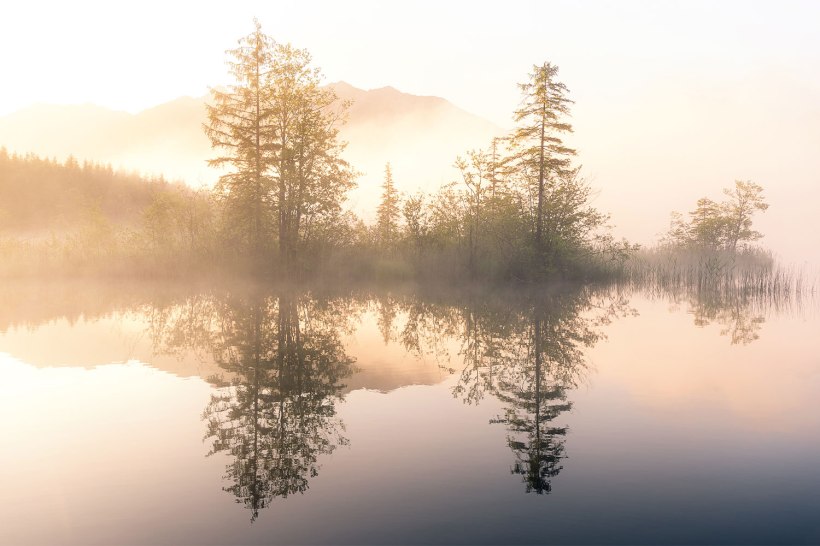 nebel zum sonnenaufgang an einem bergsee