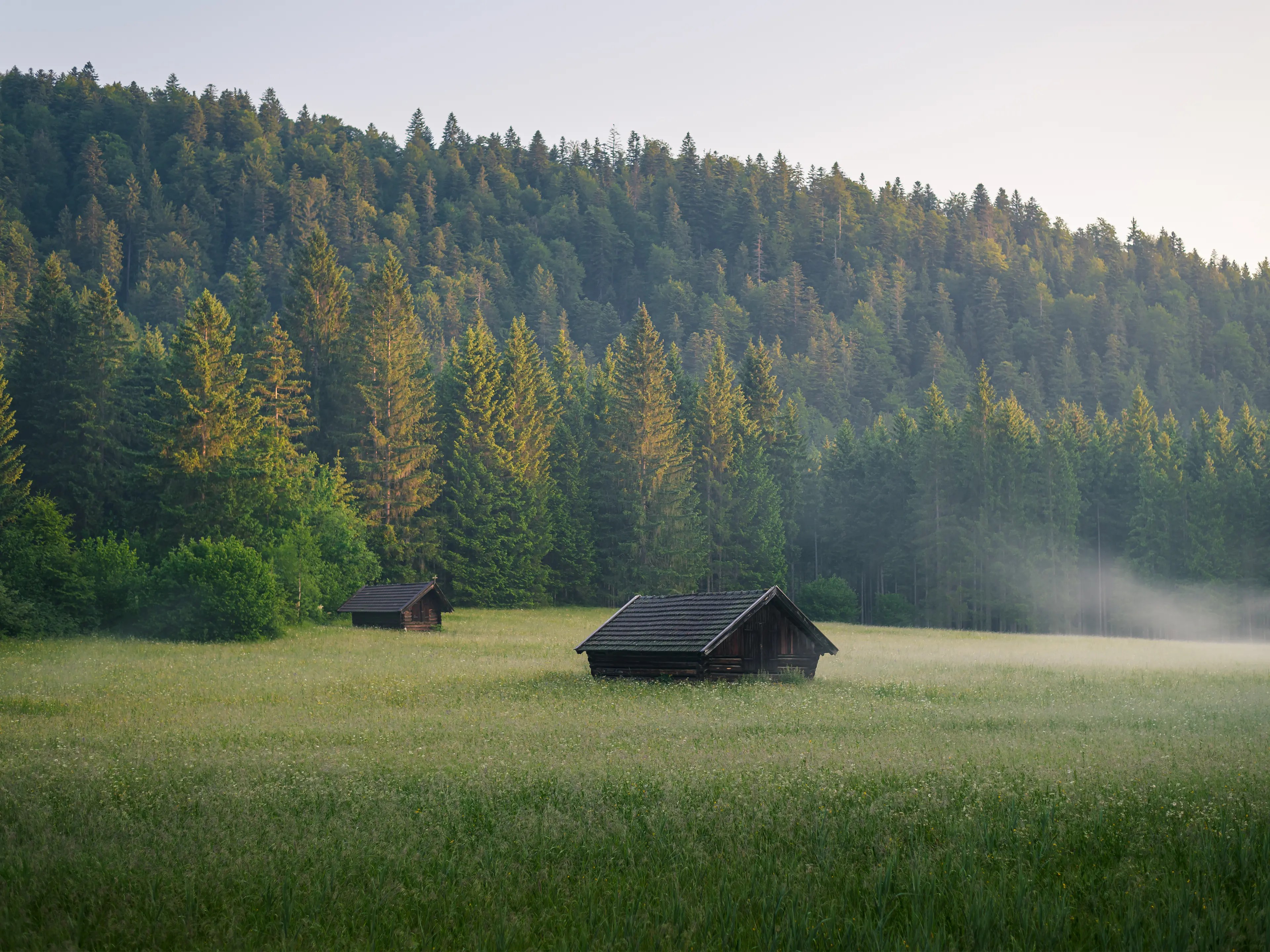 Das sanfte Grün der Wiesen und Wälder kommt im Morgenlicht besonders schön zur Geltung. Die kleinen Hütten am Wegesrand bieten sich als Motive an.