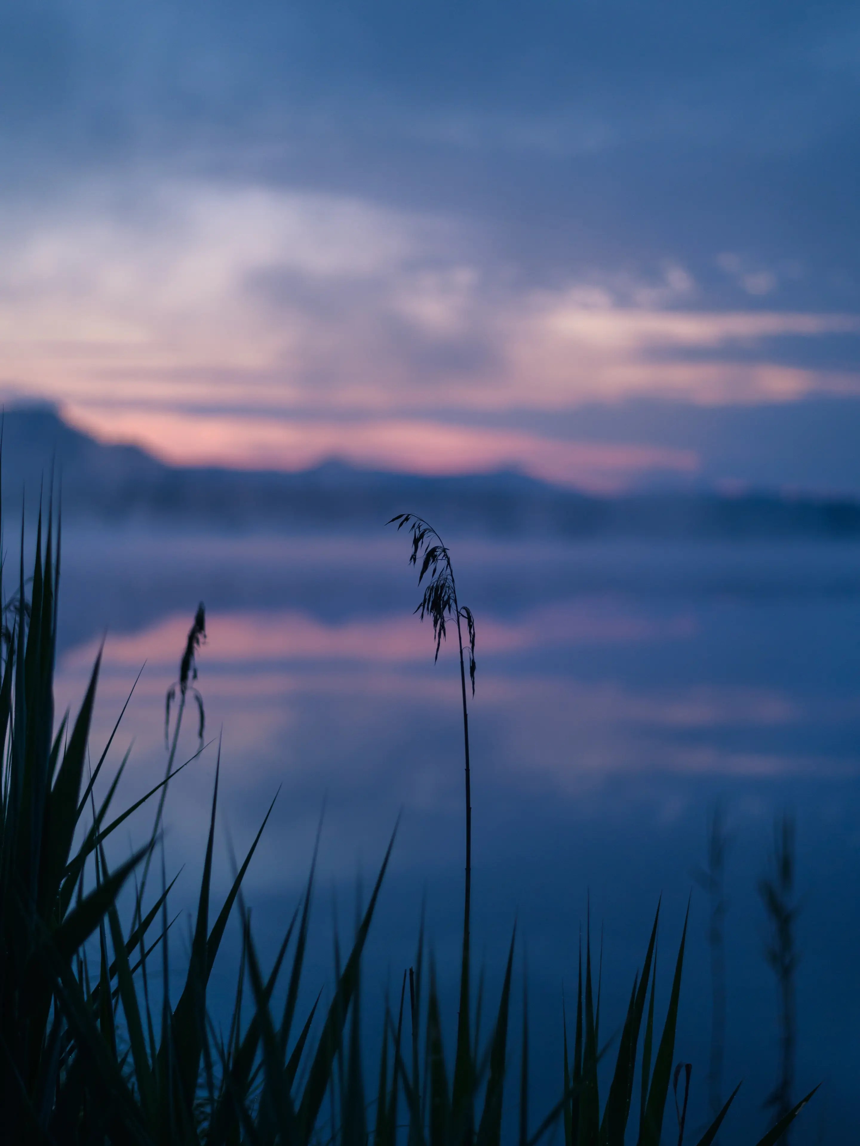 Am Uferweg lassen sich vor Sonnenaufgang schöne Details im Licht der Morgendämmerung einfangen.