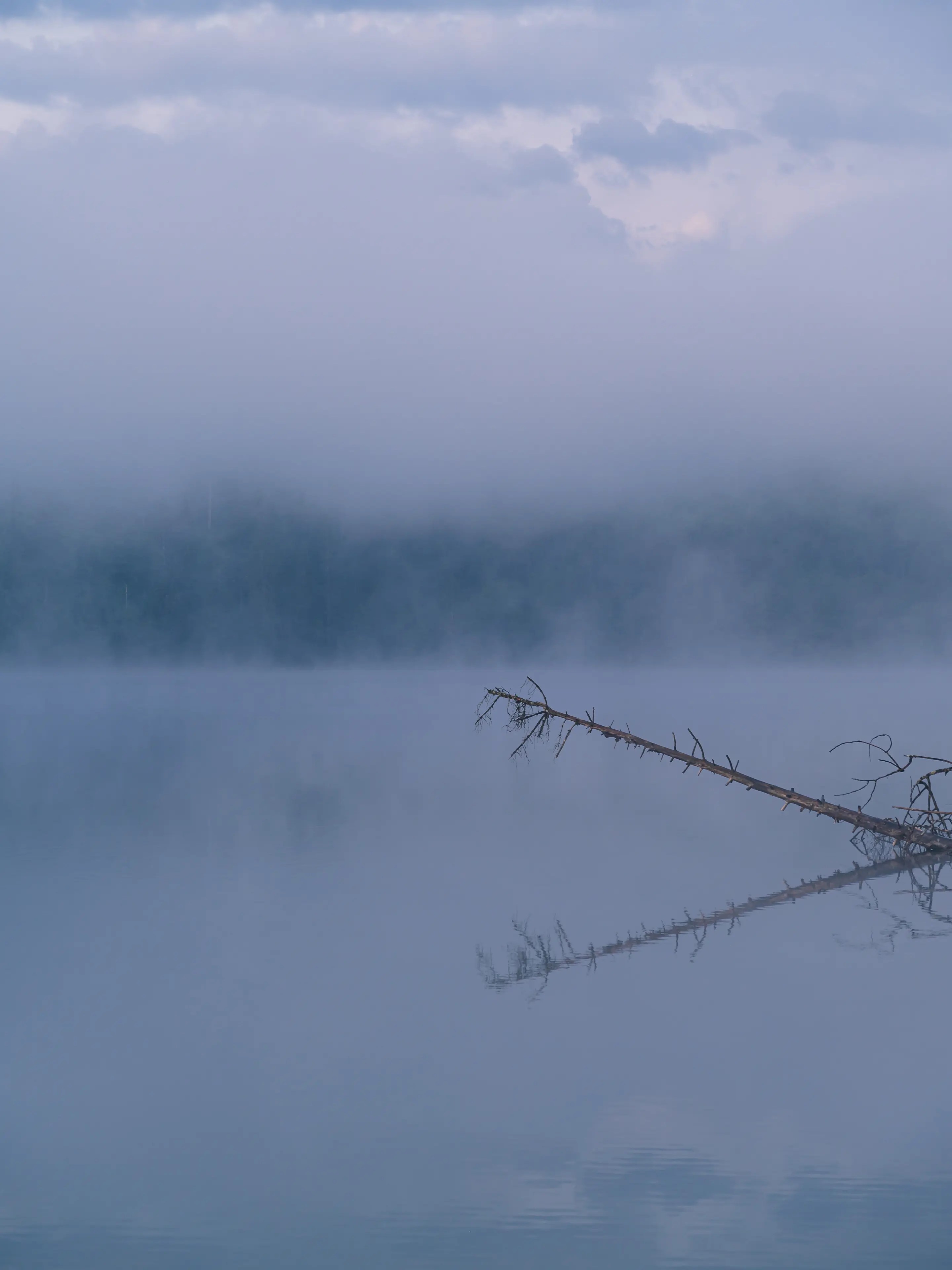 Bei dichtem Nebel liegt meine auch im Frühling auf Details in der Landschaft.