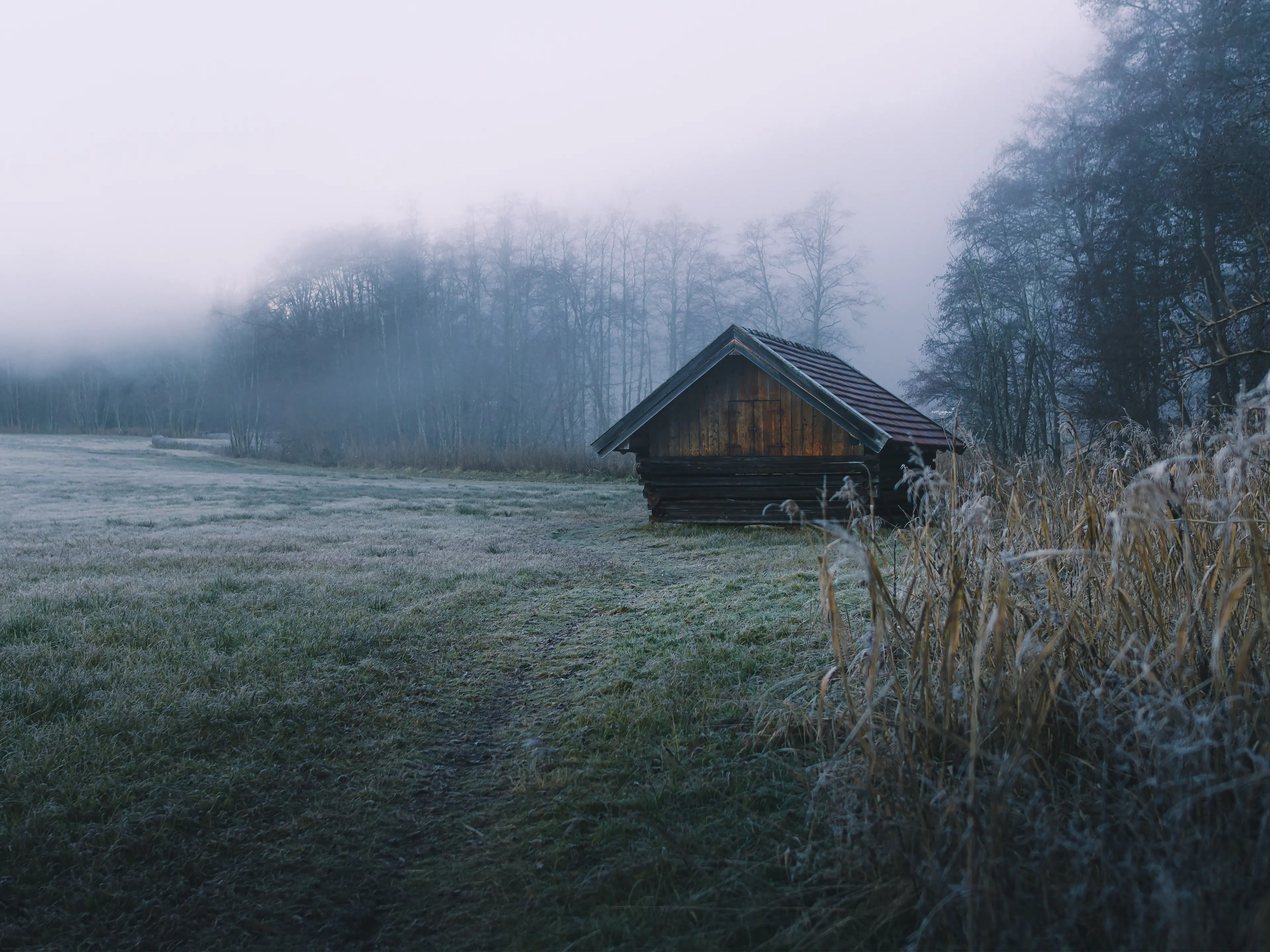 Die kleinen Hütten und grünen Wiesen sind reizvolles Motiv entlang des Uferwegs. Besonders im Frühling.