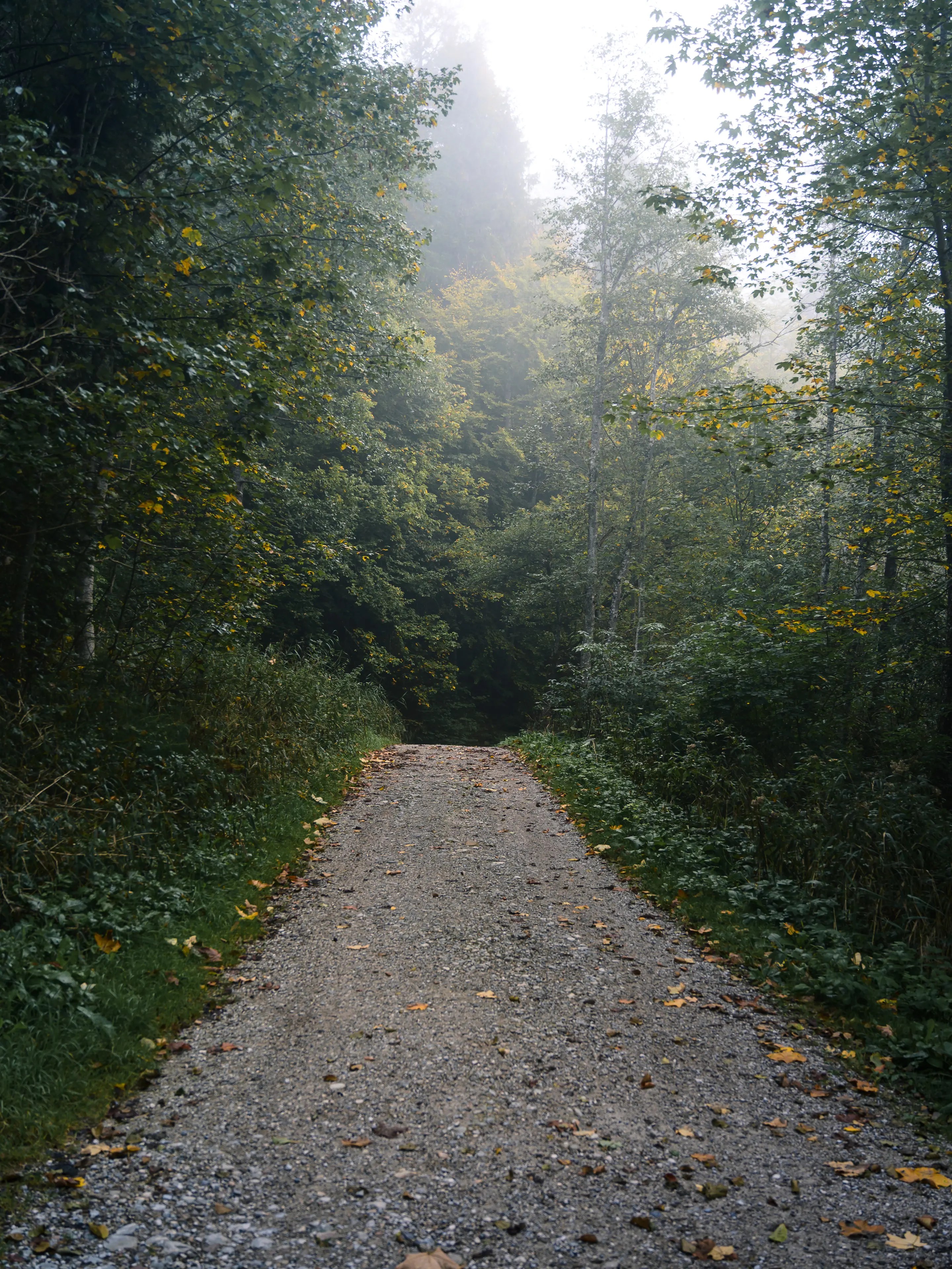 Die langsam einsetzenden Herbstfarben an den Bäumen erzeugen ebenfalls eine schöne Stimmung.