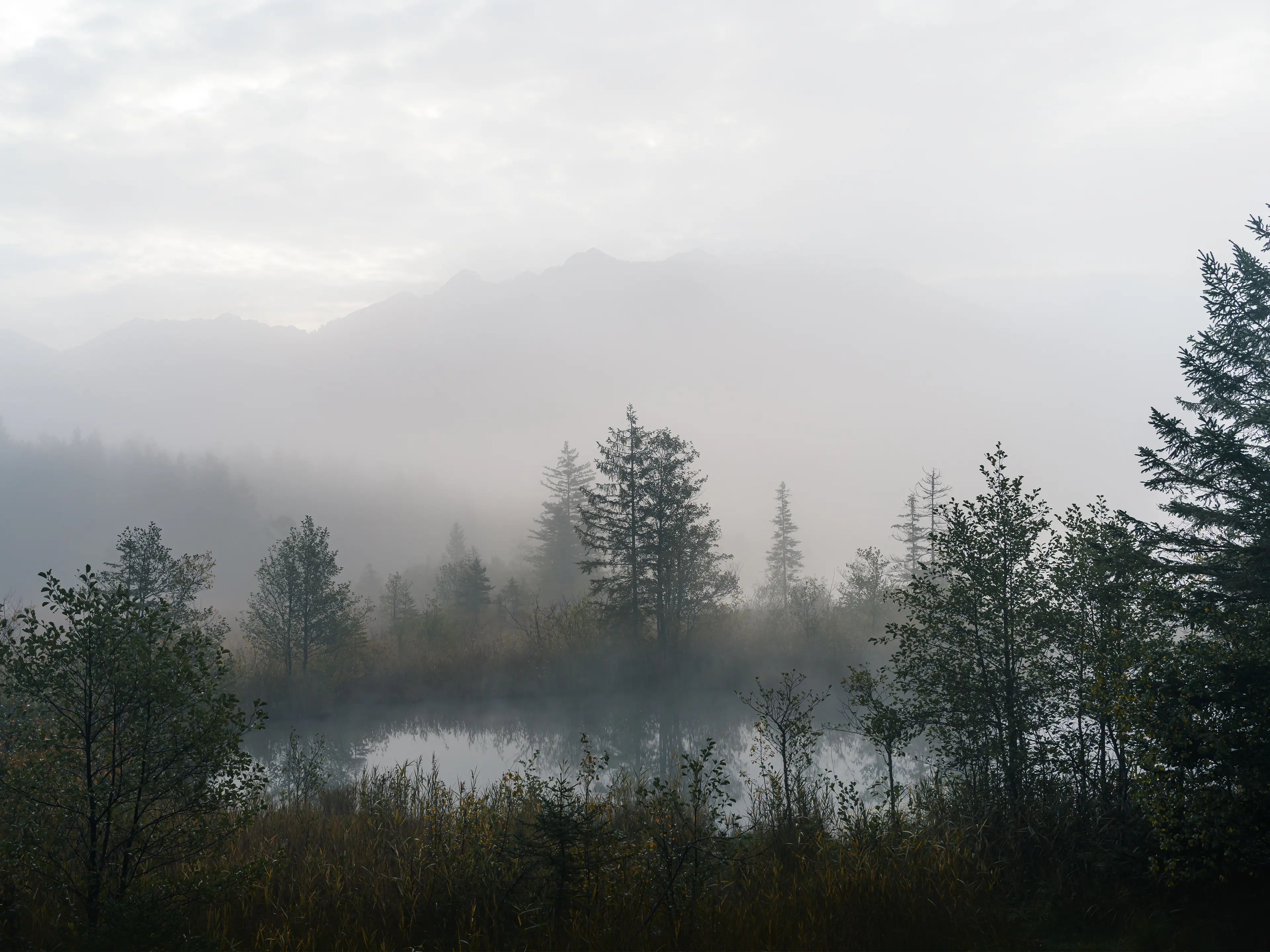 Je nach Stimmung lassen sich mysteriös wirkenden Motive in der Nähe der Badewiese einfangen.