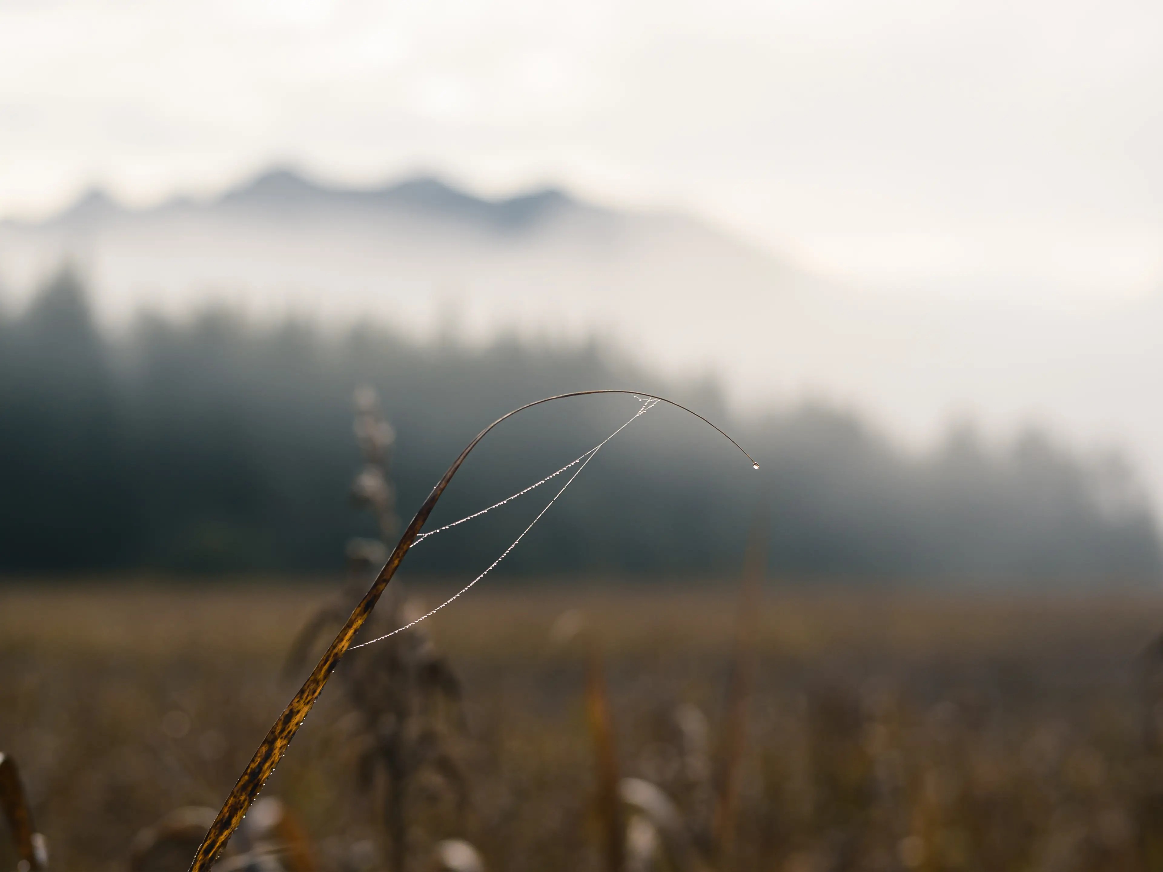 Es lohnt sich die Augen nach Details am Wegesrand offen zu halten.