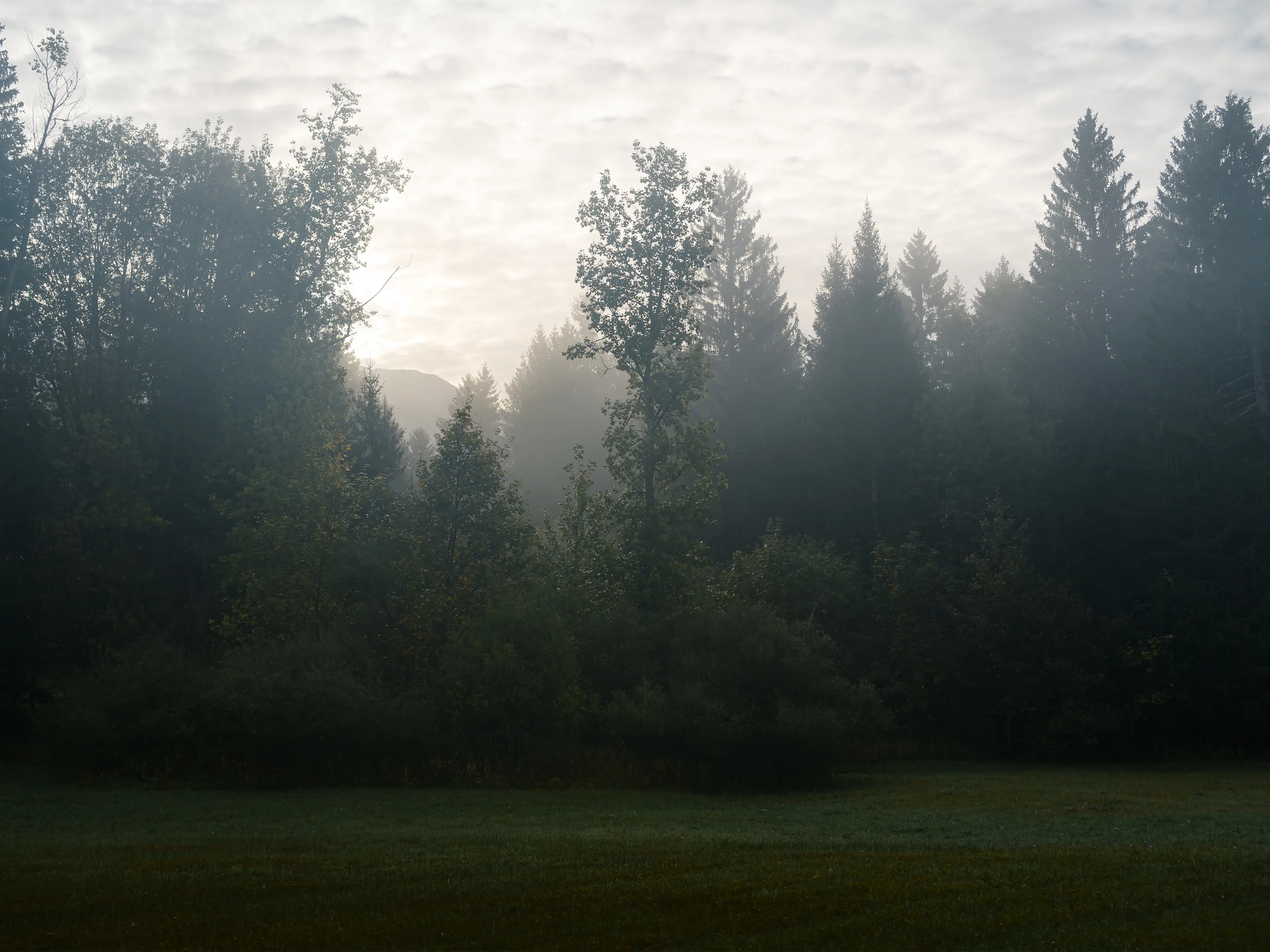 Auch am Ende des Rundwegs können sich noch Motive ergeben, auch wenn das Licht im ersten Moment nicht gut erscheint.