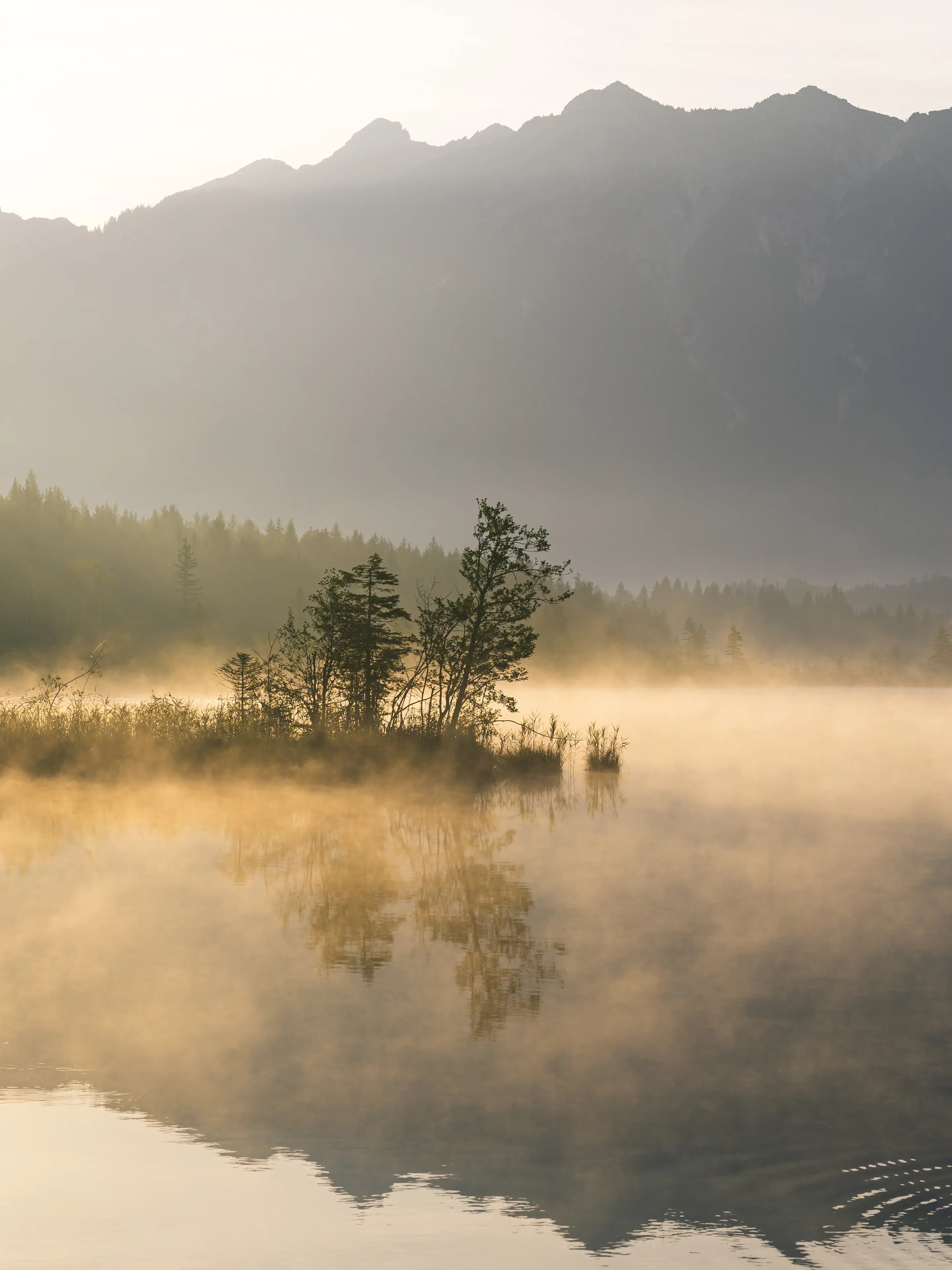 Auch ohne dichten Nebel sorgt die Morgensonne im Sommer oftmals für eine dünne Nebeldecke über dem See.