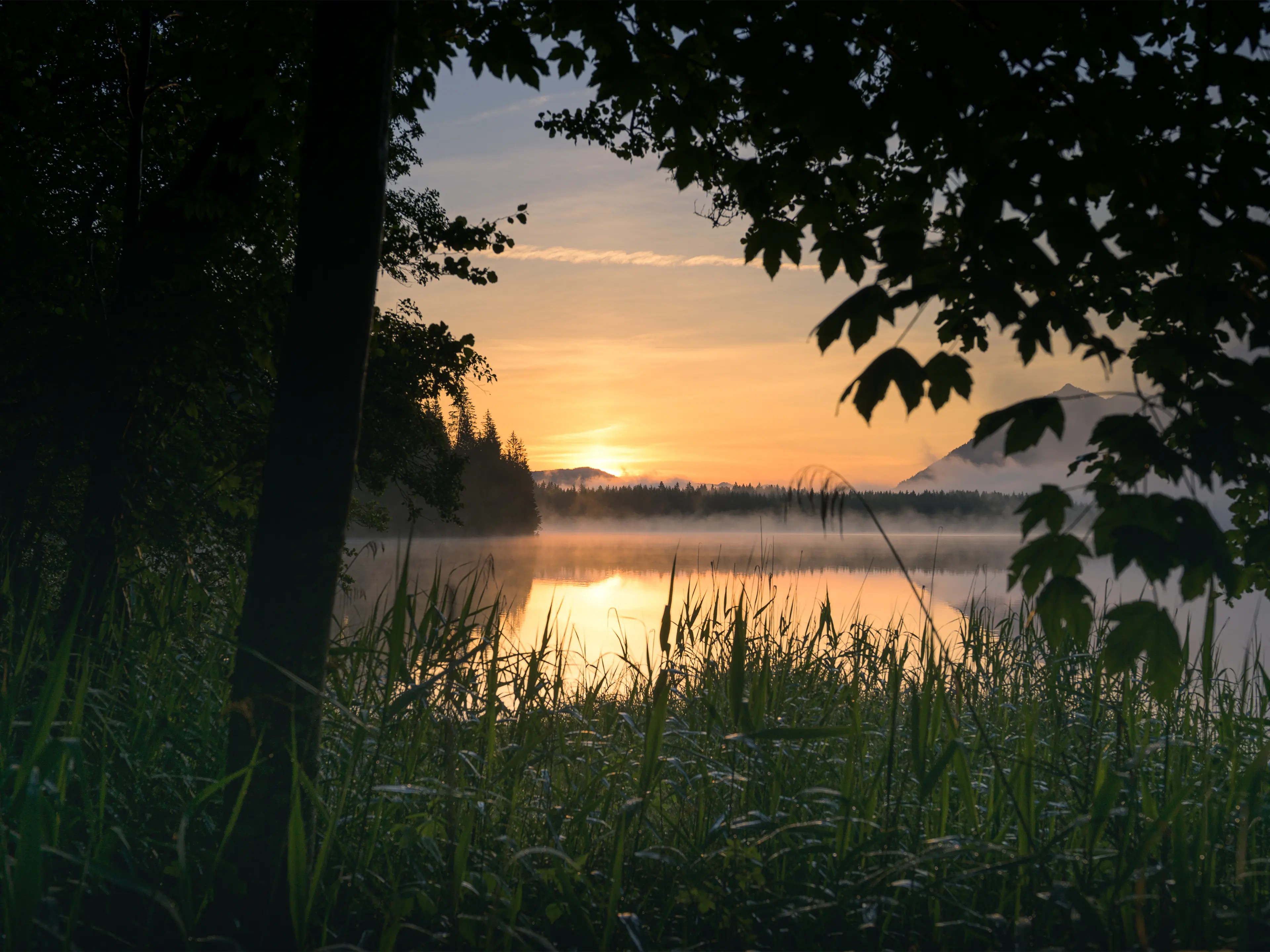 Im Sommer lässt sich der Blick zum anderen Seeufer gut einrahmen.