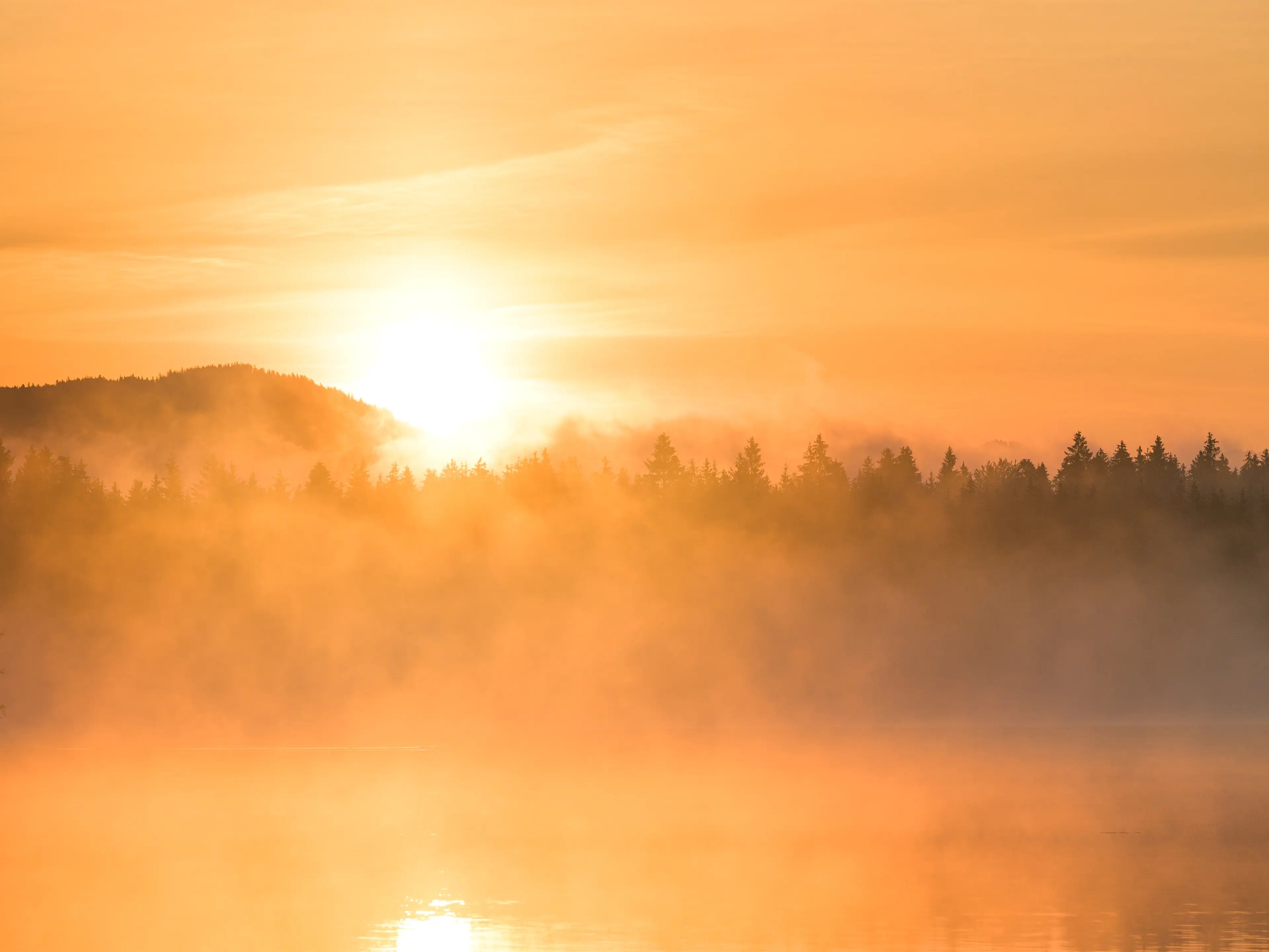 Aber auch der Blick zum anderen Seeufer ist reizvoll. Im Sommer geht die Sonne in dieser Richtung auf und sorgt mit Nebel für zahlreiche Möglichkeiten zum Fotografieren.