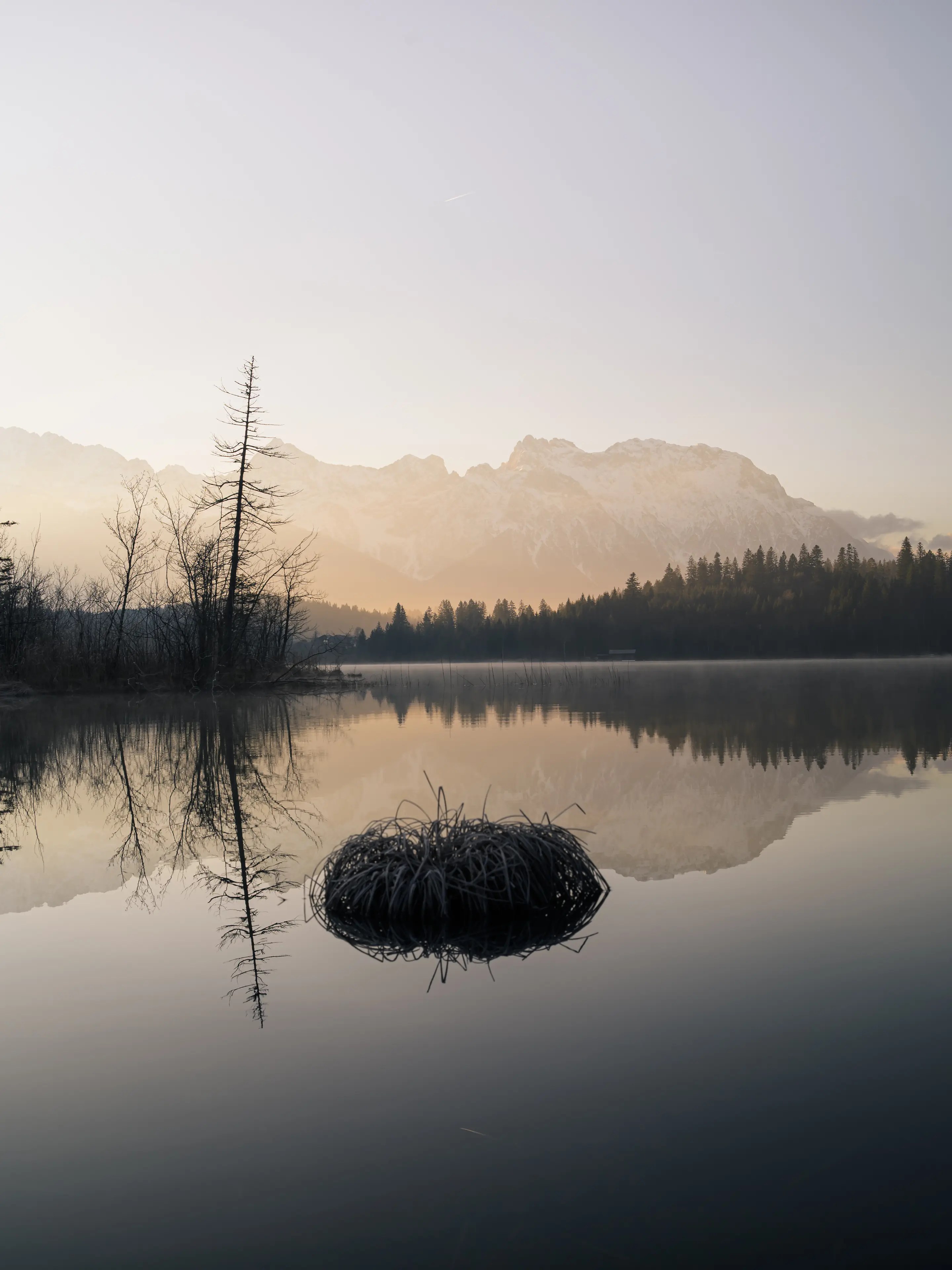 Mal warm und mit dem Licht der aufgehenden Sonne zum Ende der Wintermonate.