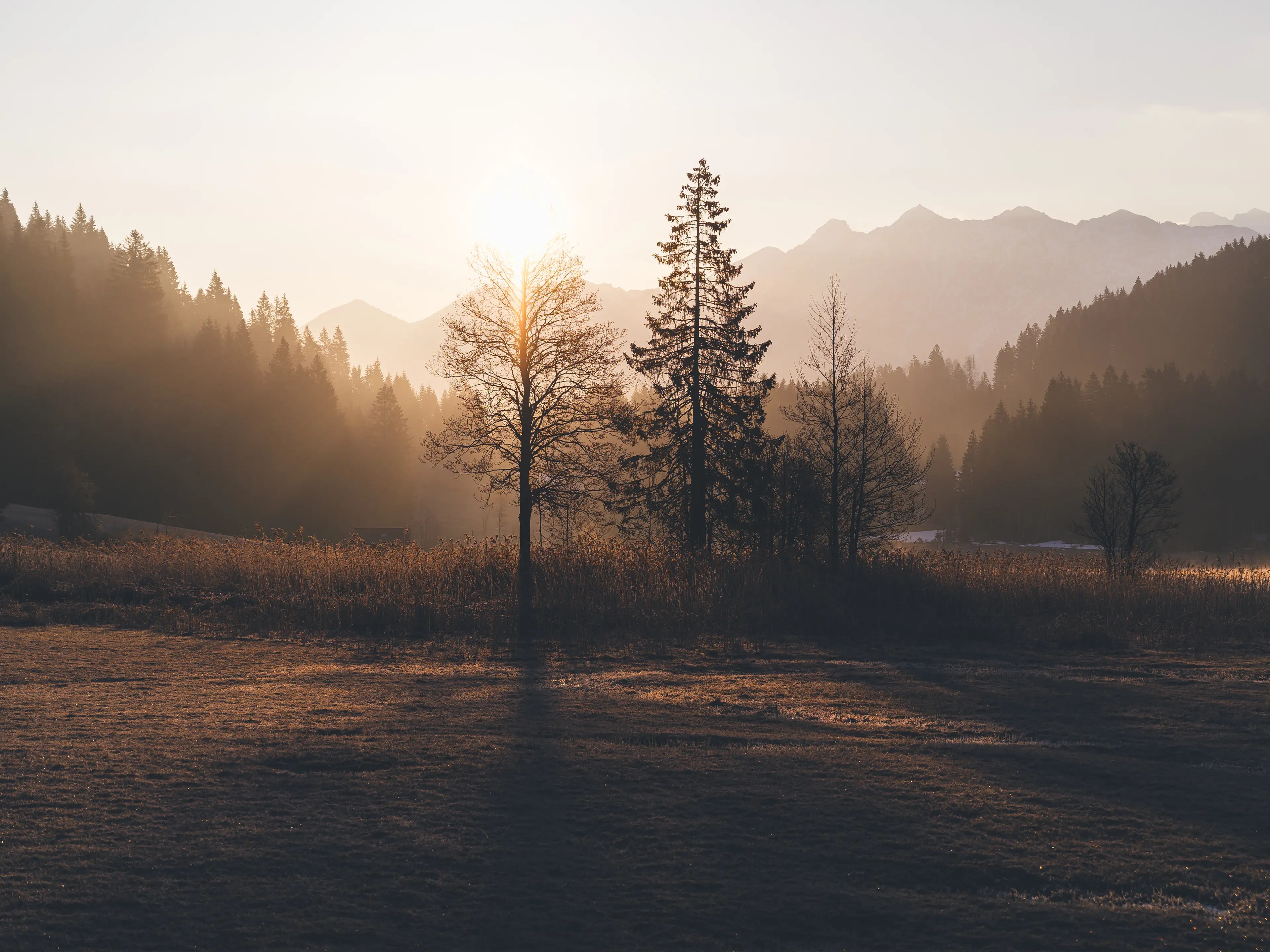 Im Gegenlicht der Sonne lassen sich auch im April tolle Ergebnisse erzielen.