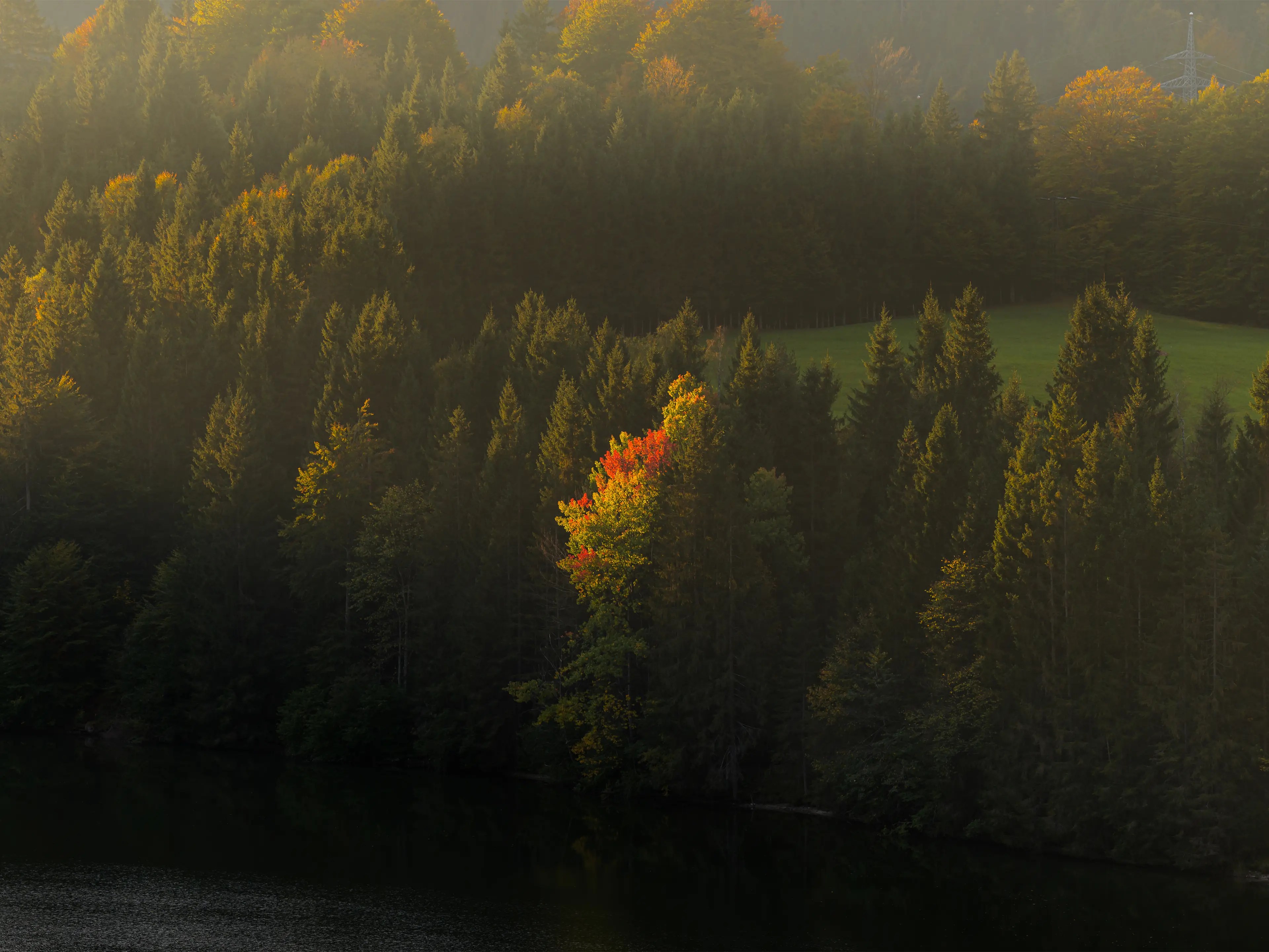 Die langsam einsetzenden Herbstfarben sind tolle Details am Geroldsee.