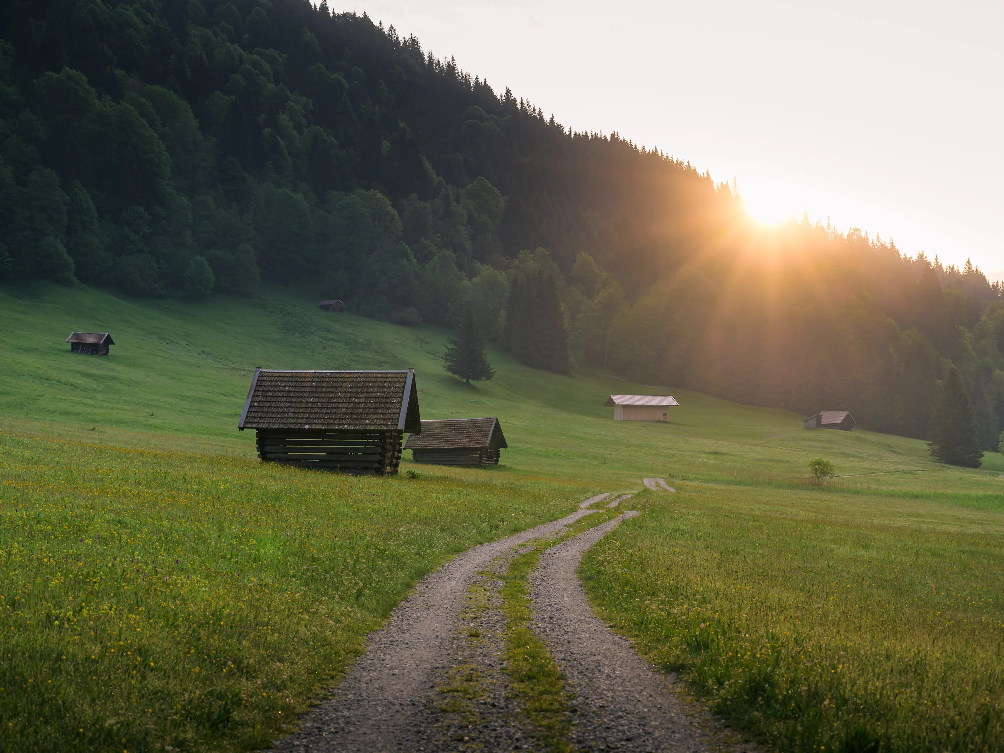 Es muss nicht immer der bekannte Fotospot oberhalb des Sees sein. Auch entlang des Weges ergeben sich während der Hegezeit tolle Motive.