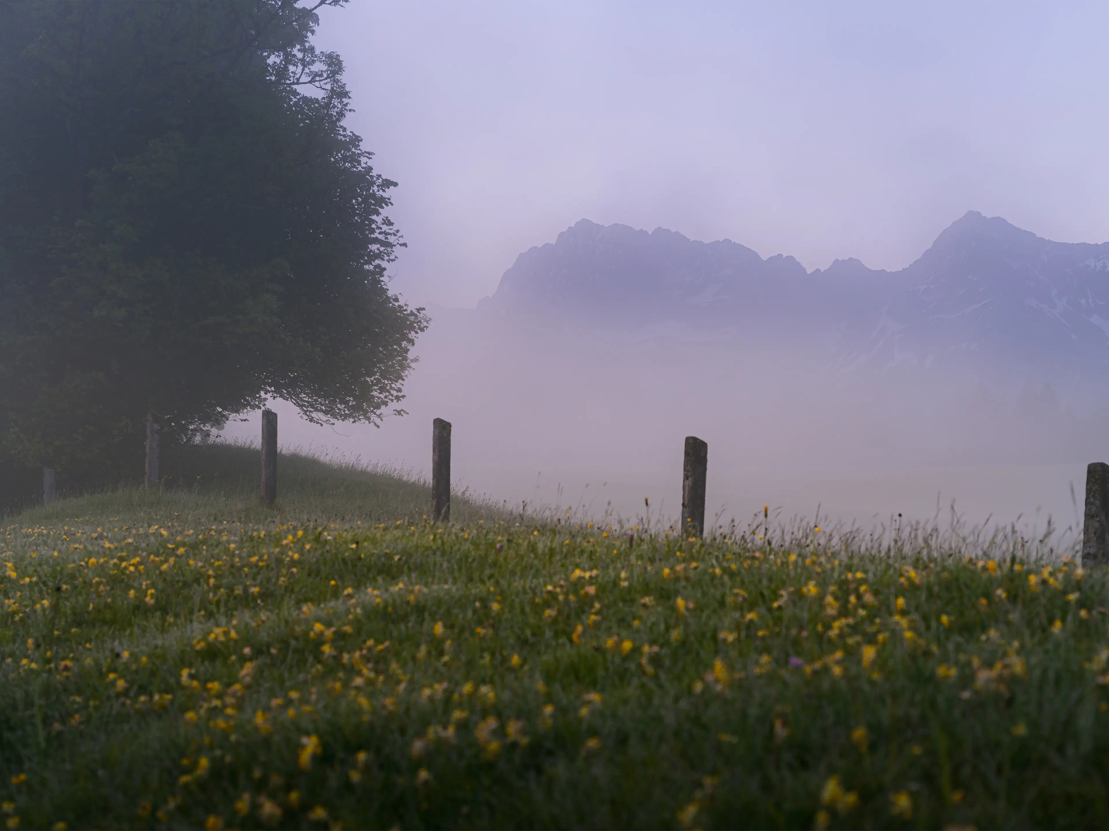 Bereits auf dem Weg zum See ergeben sich im Frühling erste Motive. 