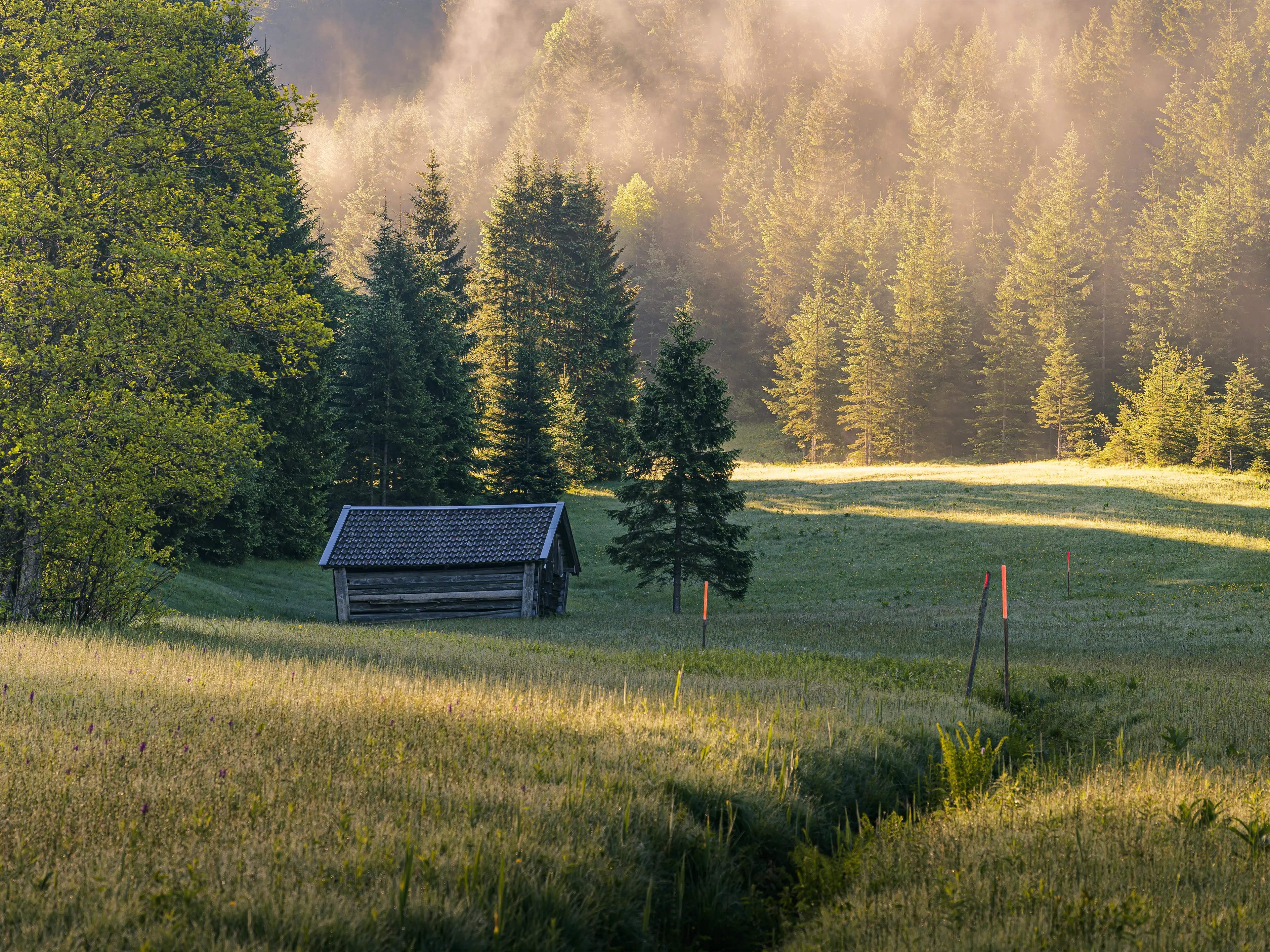 Am Ende des See gibt es ebenso kleine Hütten, die malerisch am Waldrand stehen.