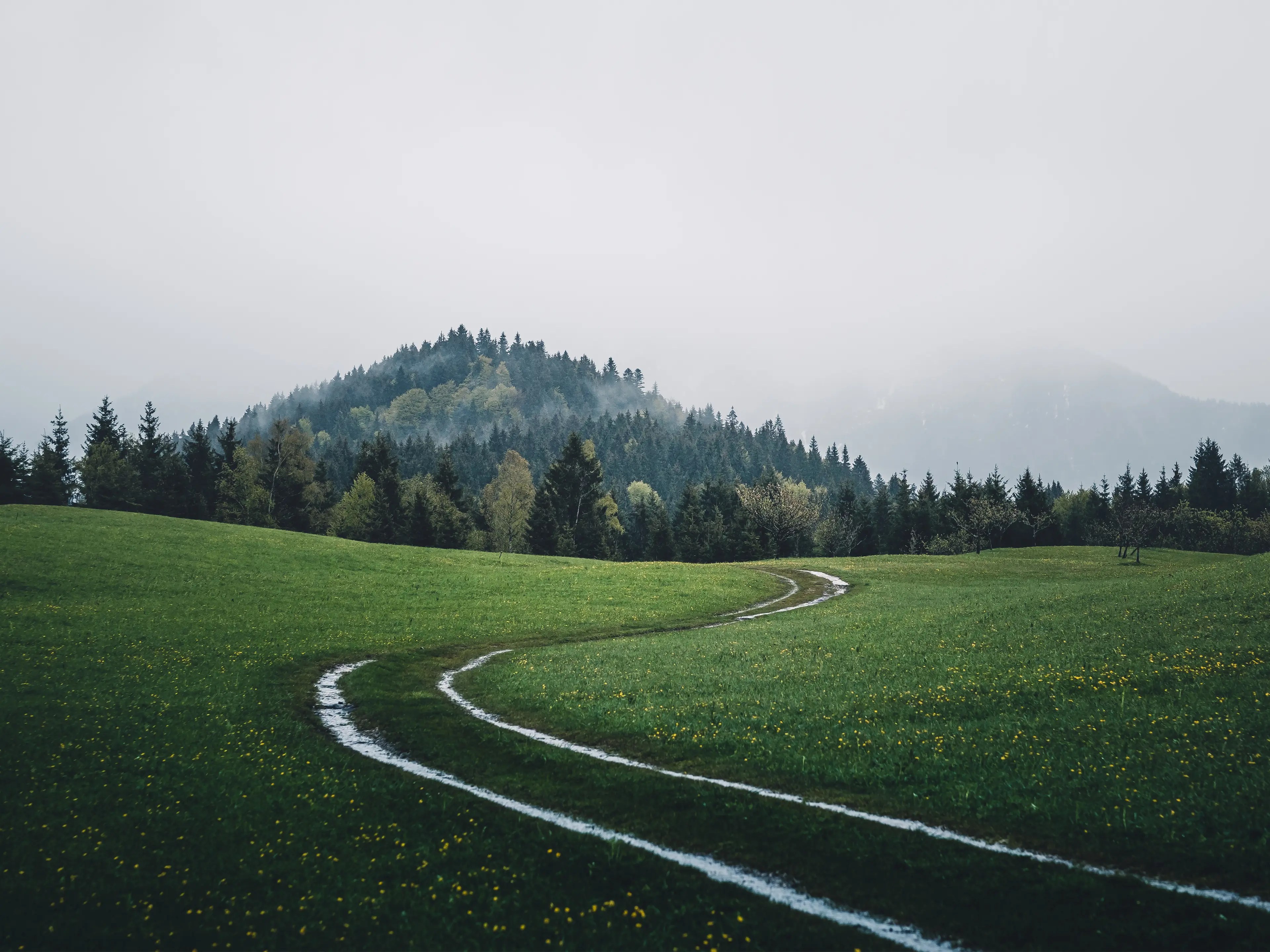 Auch bei Regen ist der Rund reizvoll. Die Nässe verstärkt das Grün nochmals.