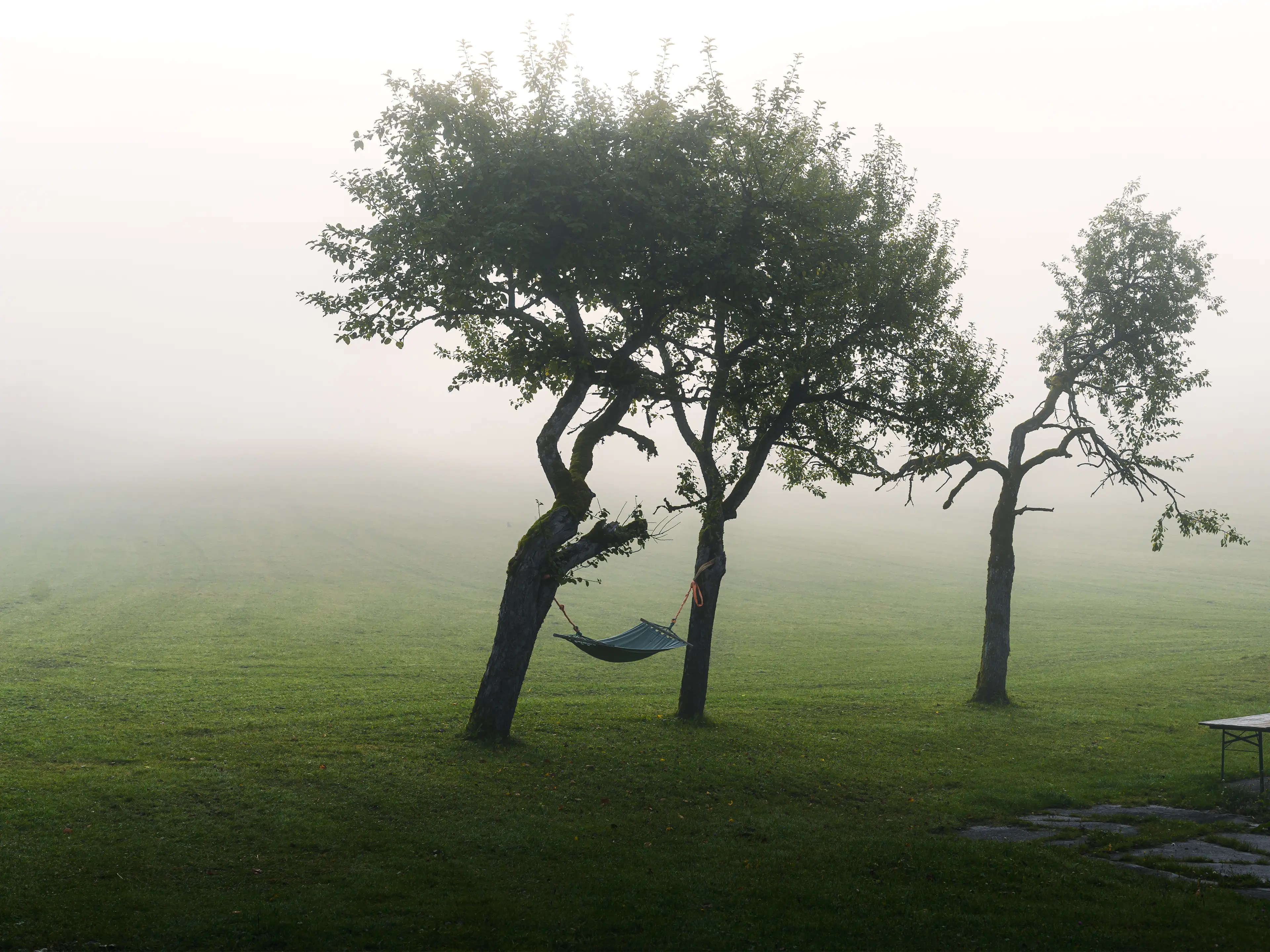 Auch kleine Details gibt es im Ort abzulichten, wenn der Nebel sehr dicht und hartnäckig ist.