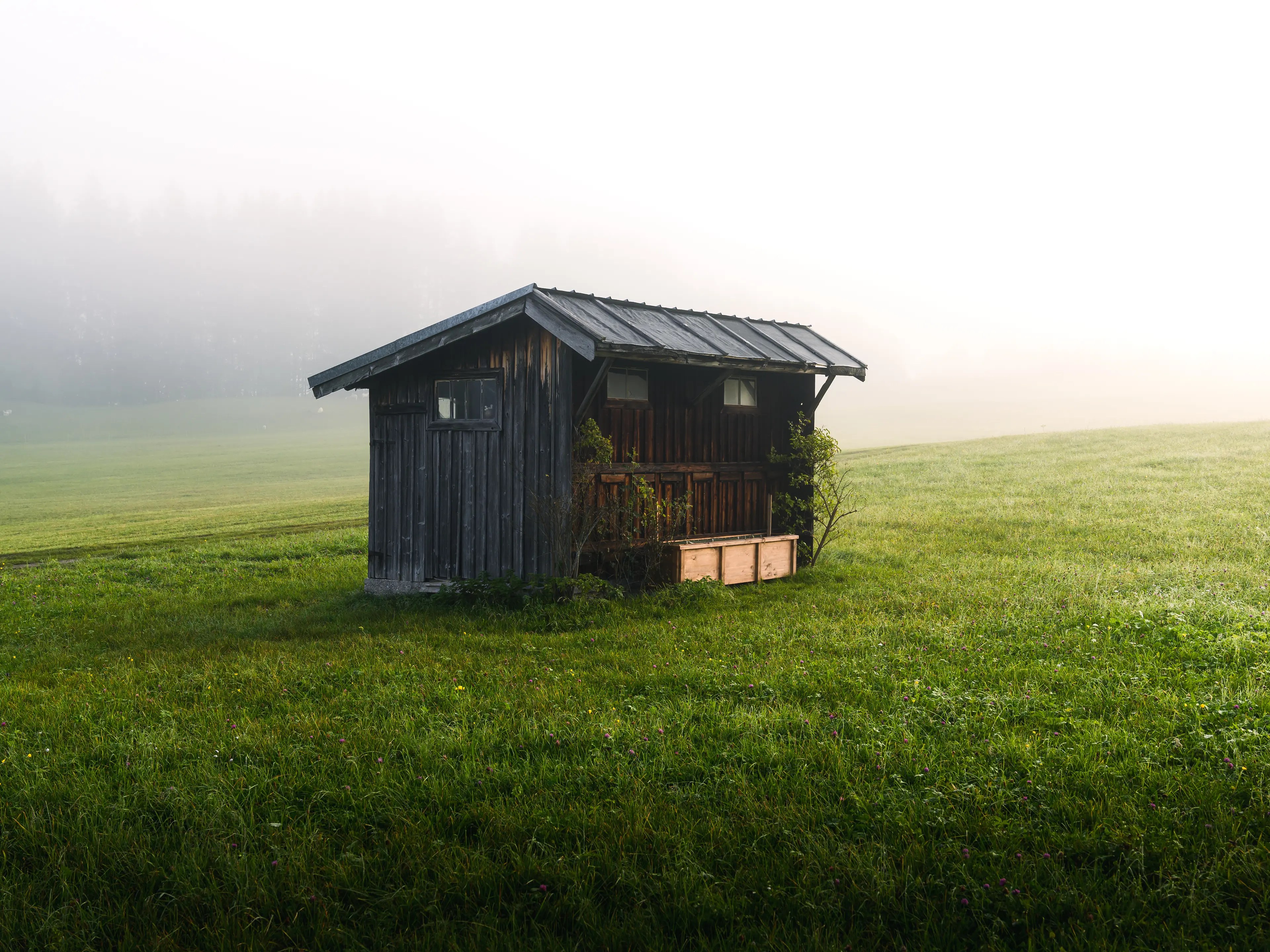 Auch dieser kleine Schuppen reizt mich jedes Mal, auch hier hilft der Nebel das Motiv zu vereinfachen.
