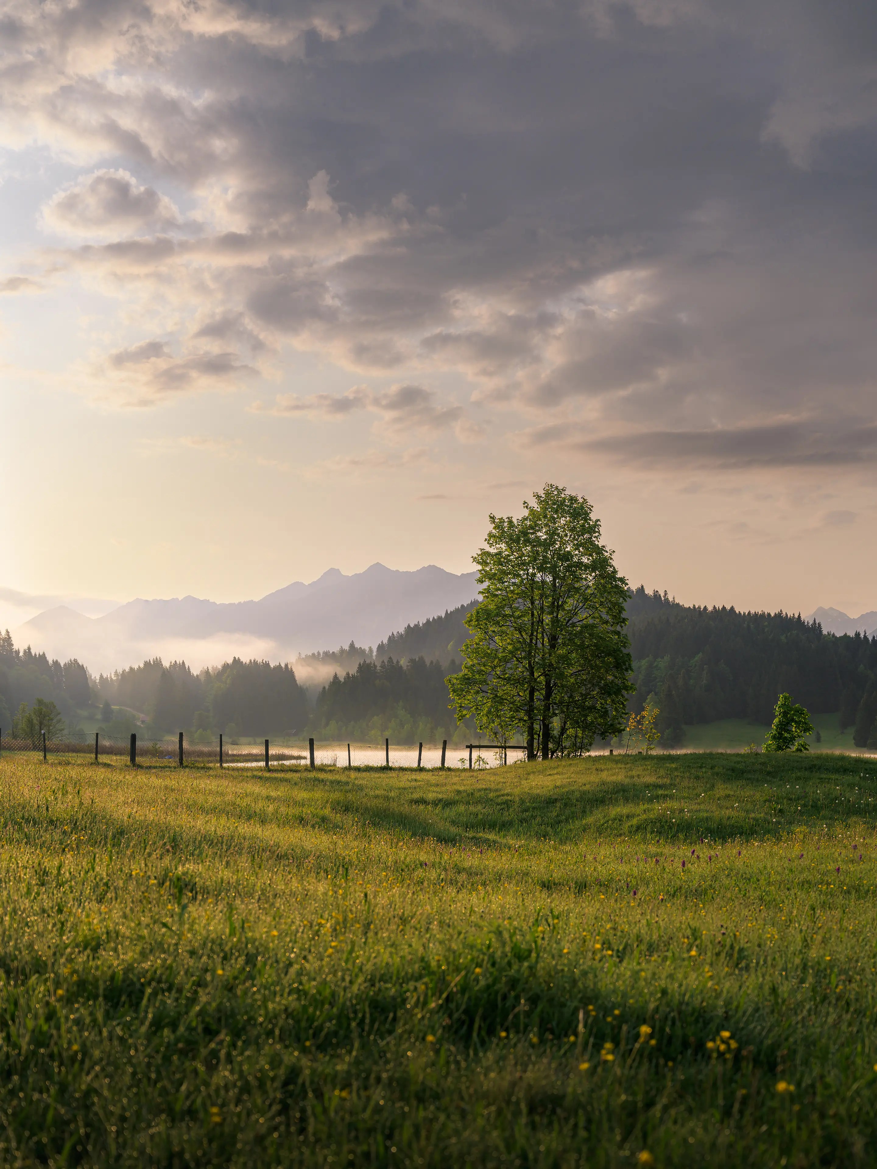 Ende Mai ist die erstrahlt die Vegetation in einem kräftigen Grün. Zum Sonnenaufgang am Geroldsee ergeben sich so viele Motive.