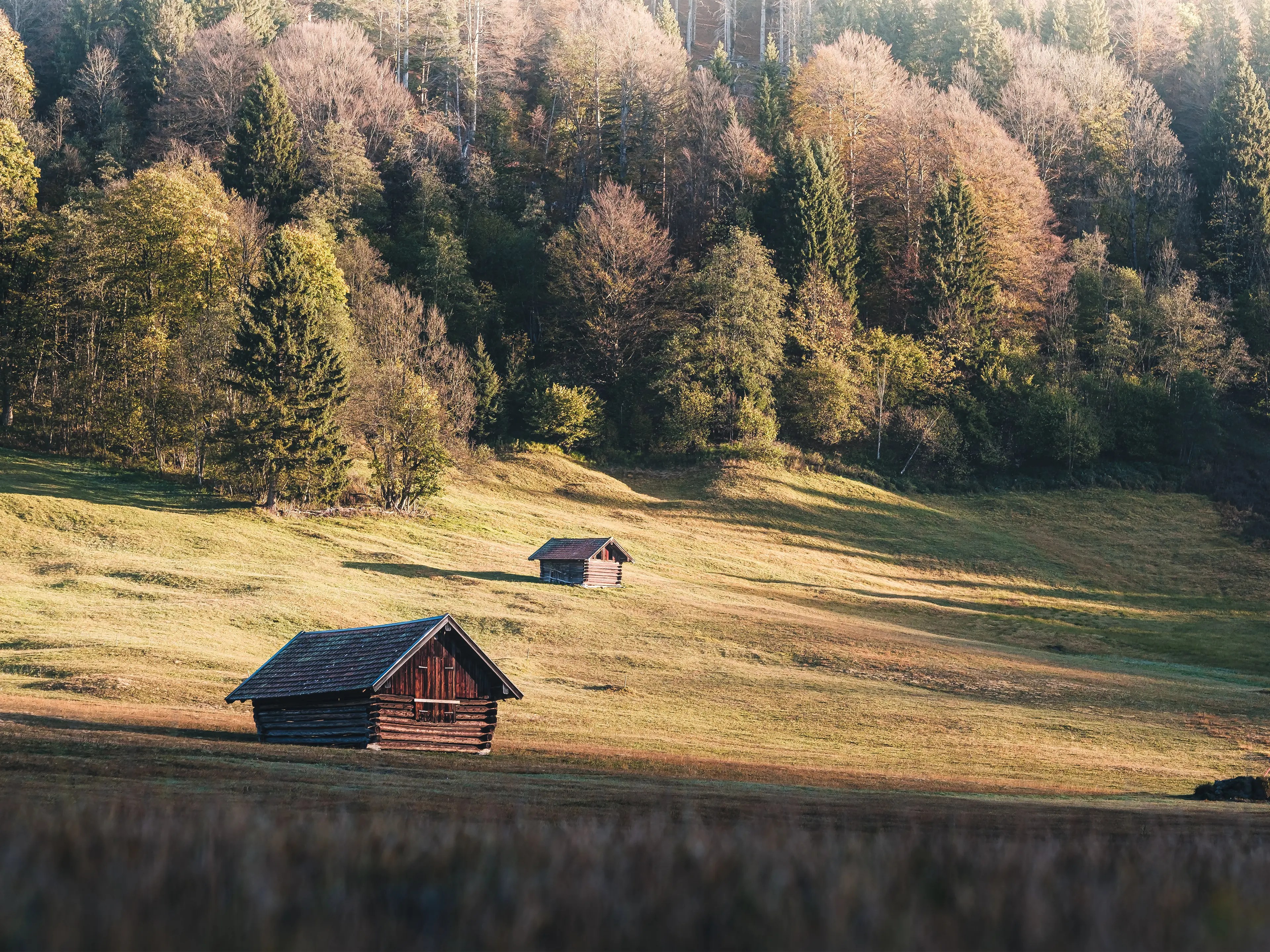 Auch wenn die Herbstfarben langsam verblassen, ergeben sich im Morgenlicht immer noch Motive.