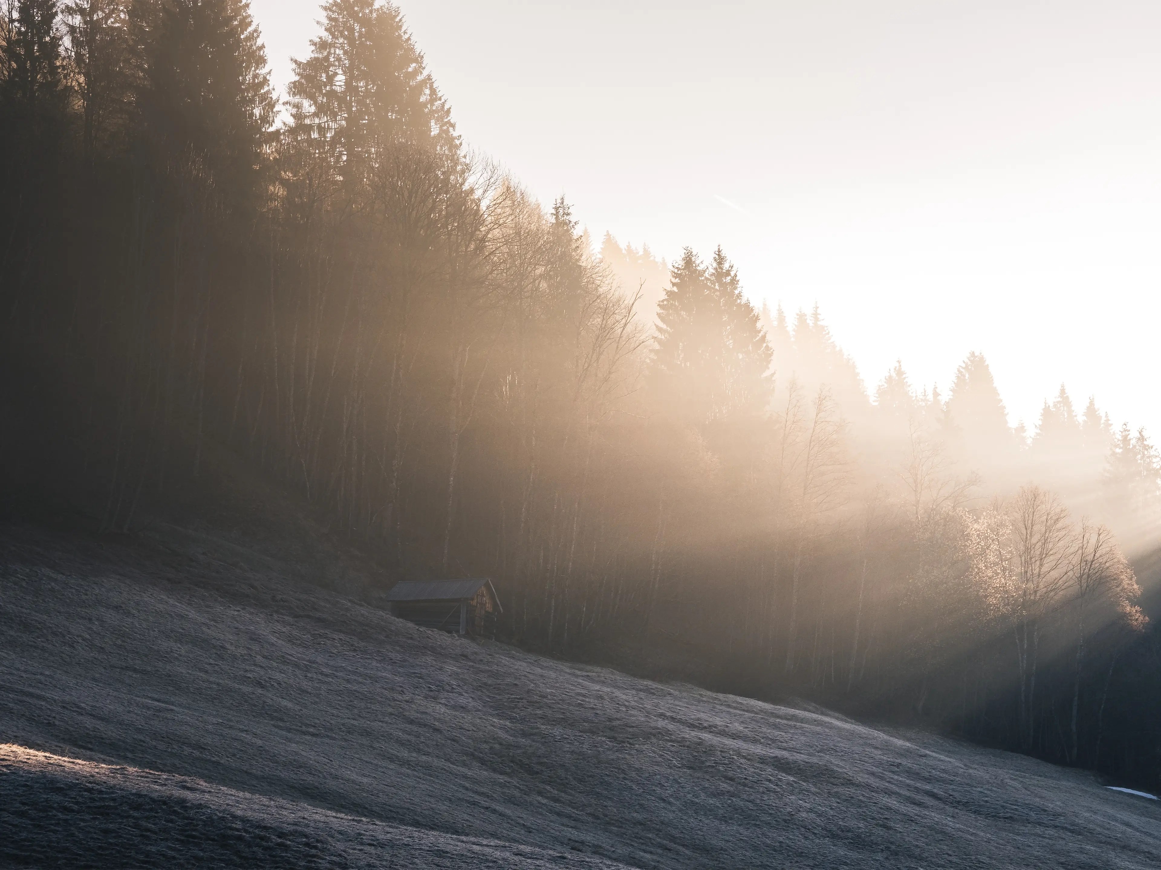 Die Wälder und kleinen Hütten sorgen, in Kombination mit leichtem Nebel, für eine tolle Atmosphäre und Motive.