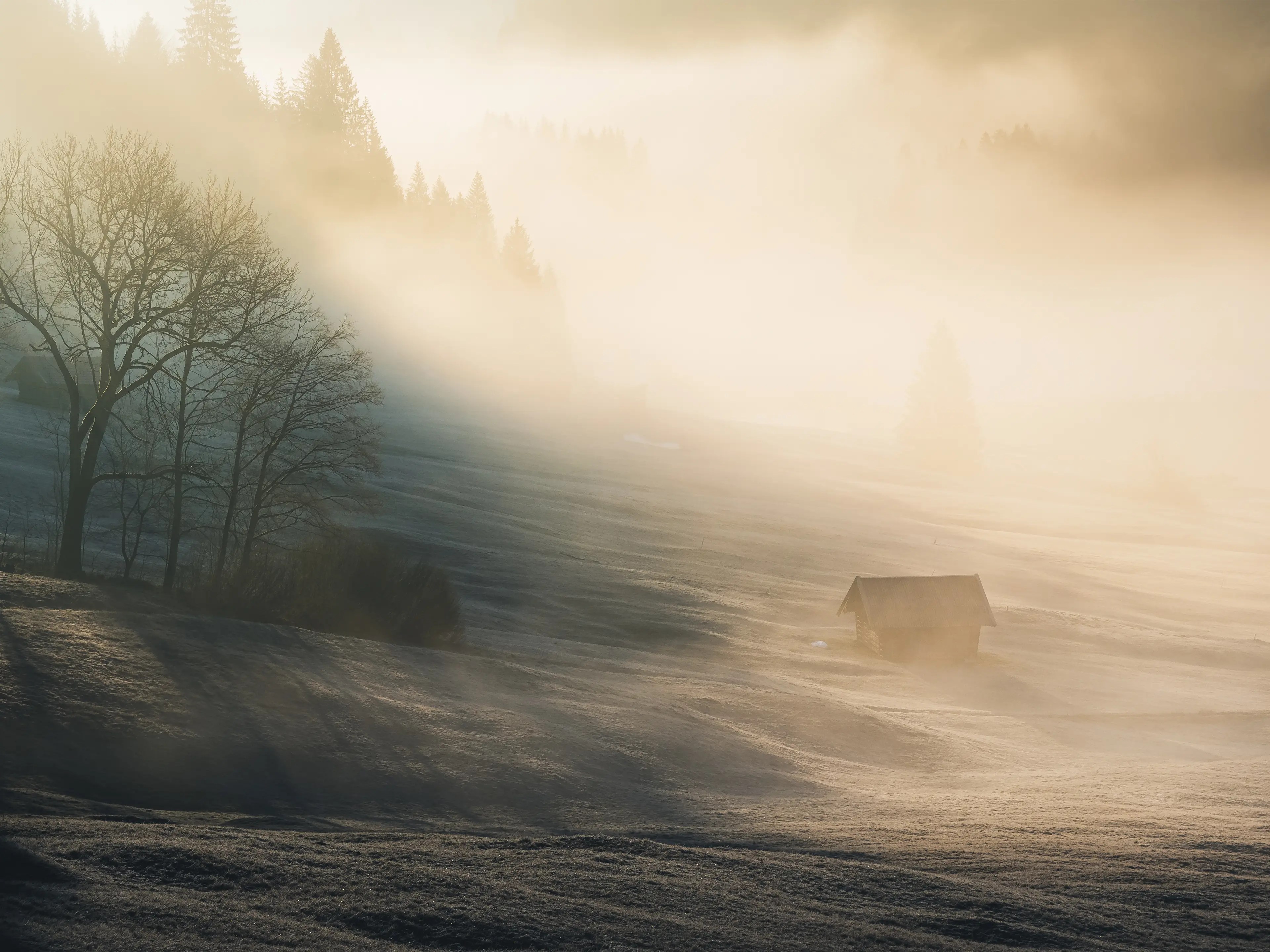 Je höher die Sonne steigt, des mehr fotografische Möglichkeiten, Lichtspiele und Motive ergeben sich rund um den See.