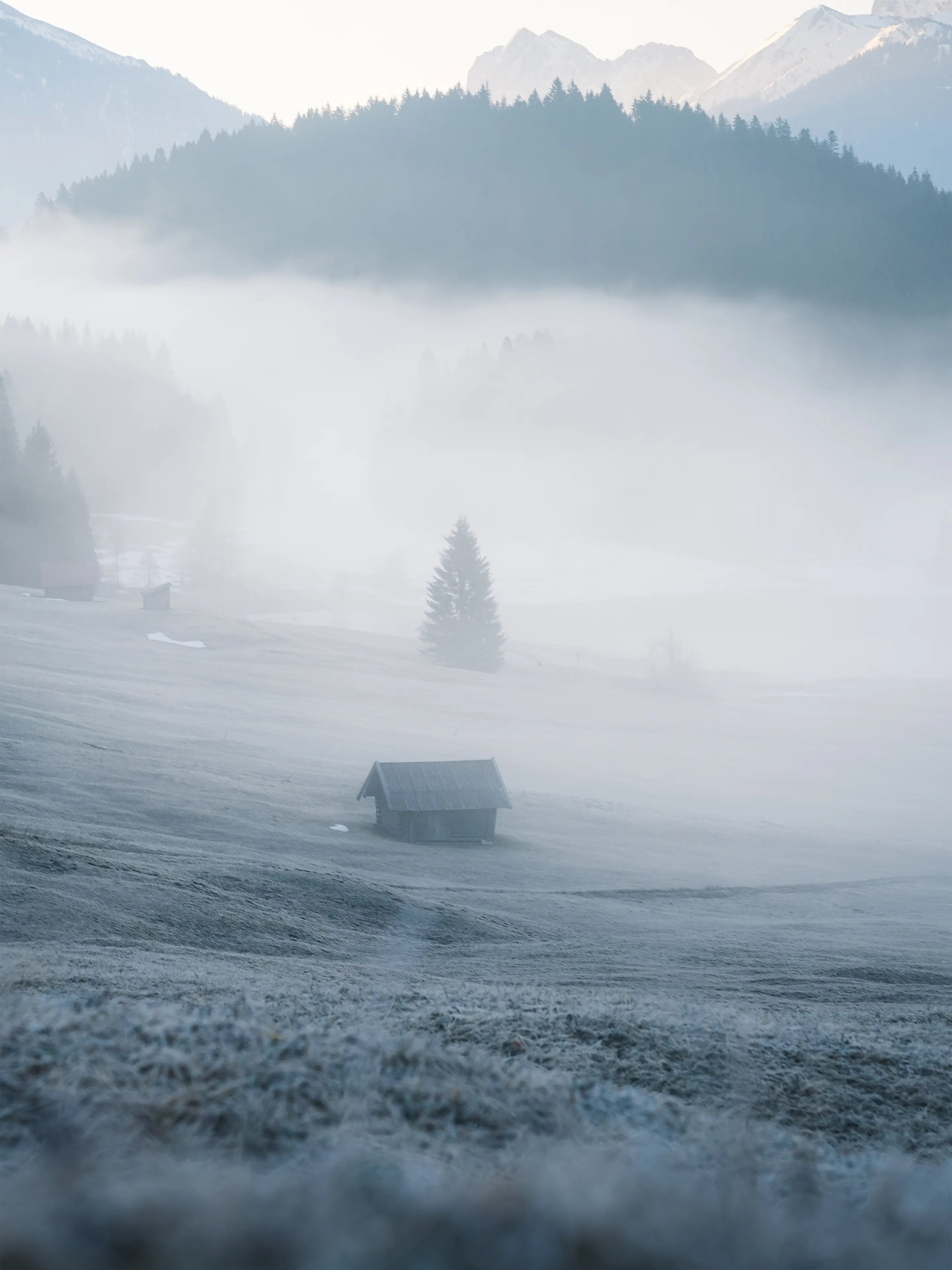 Der oft vorhandene Morgennebel taucht den See und seine Umgebung gegen Ende des Winters oft in eine mytische Stimmung.