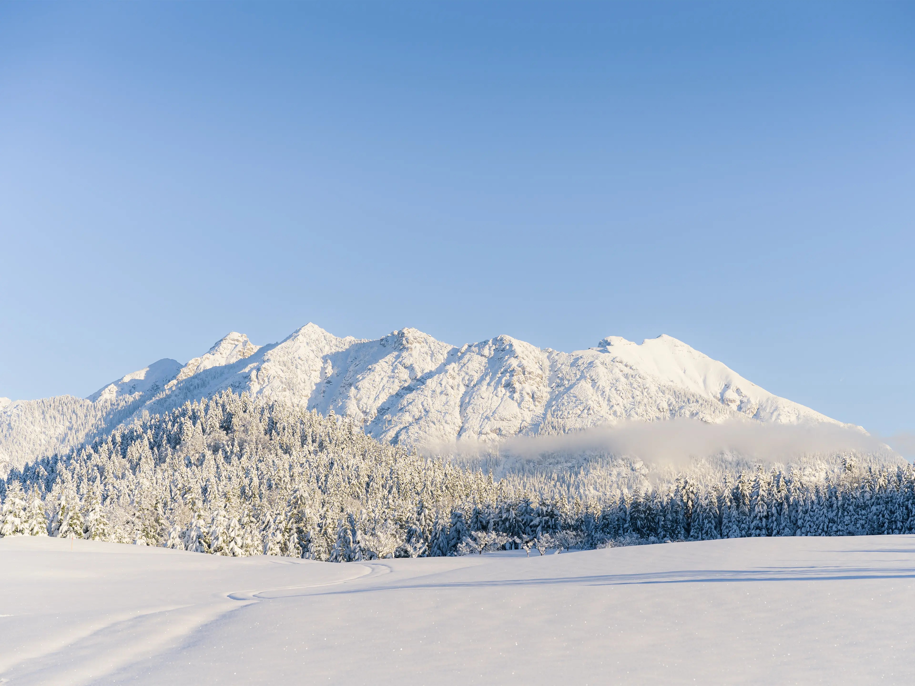 Die Umgebung des See an einem perfekten Wintertag.