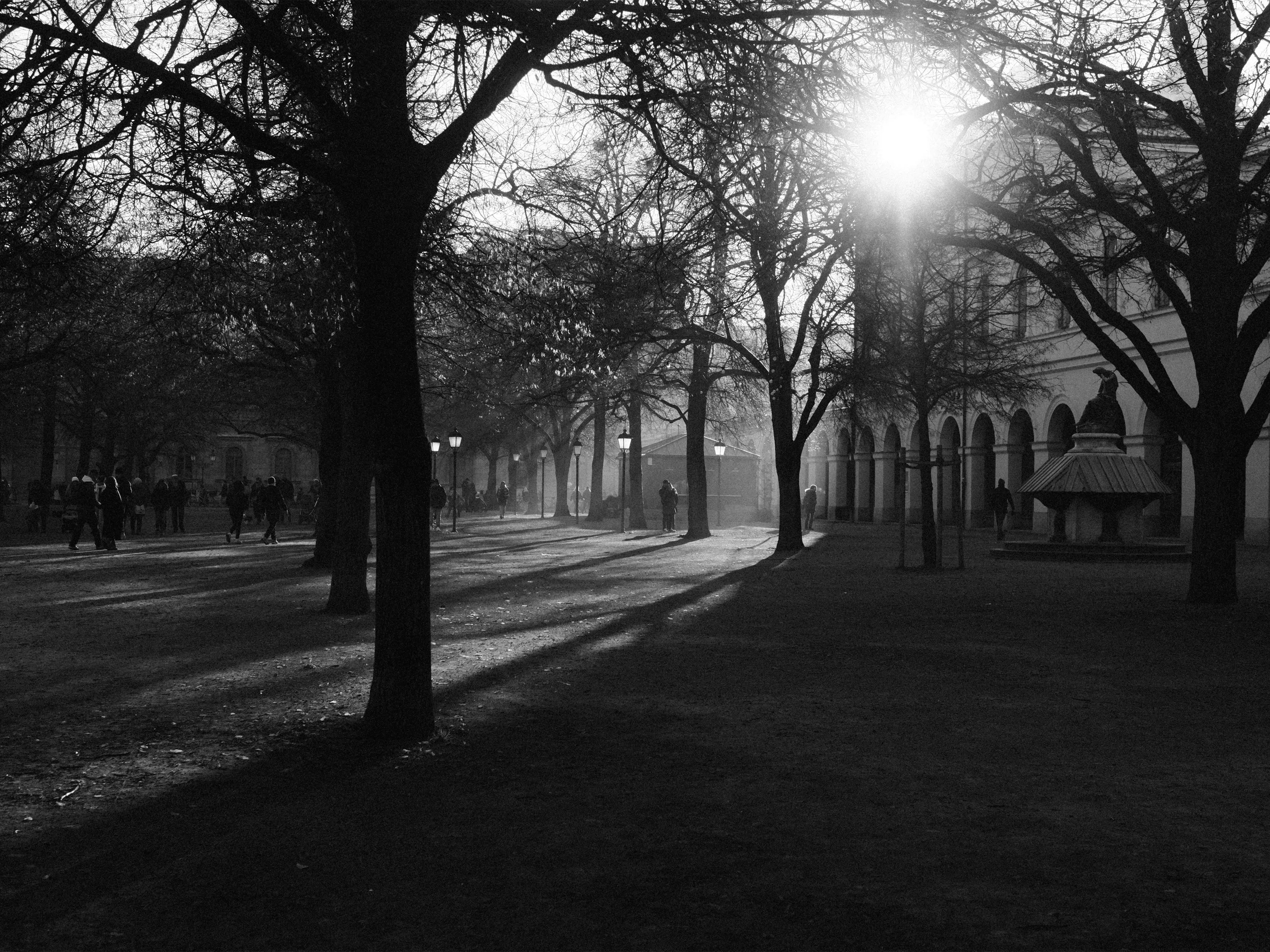 Erste Versuche mit dem Schwarz-Weiß-Preset des Kodak Tri-X 400.