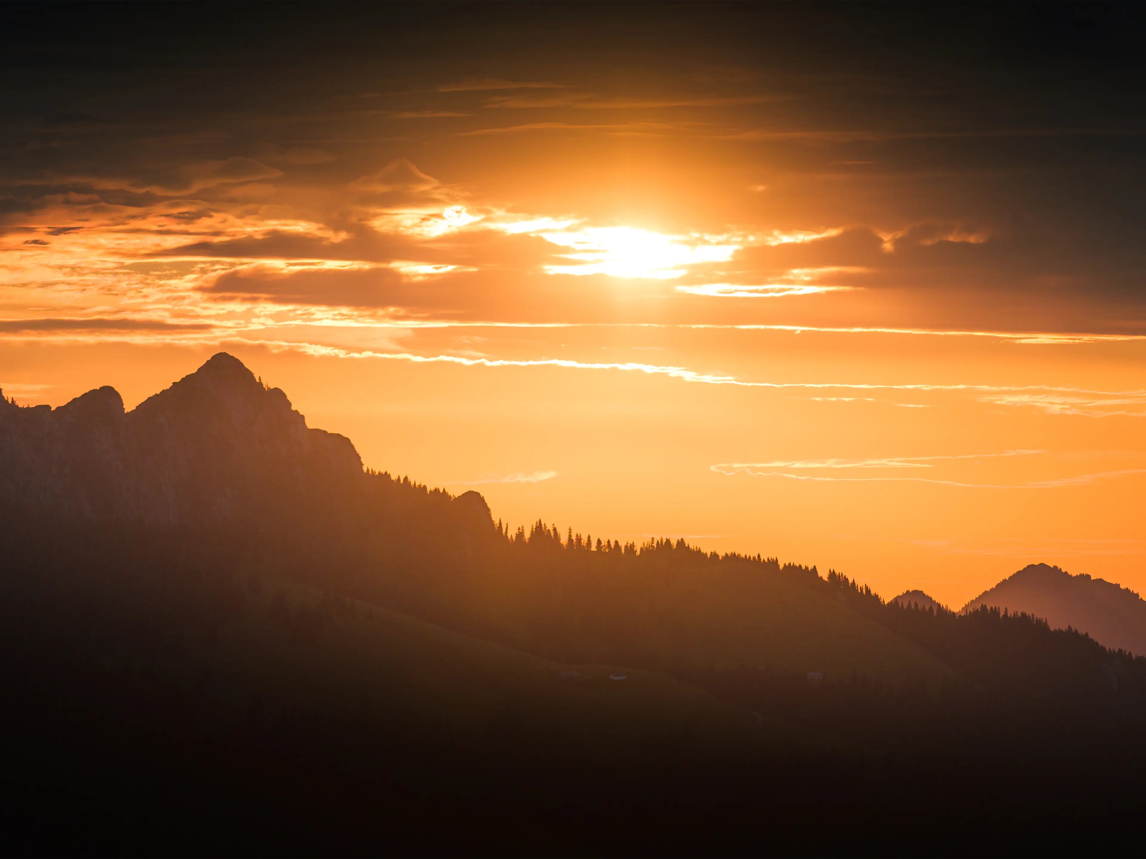 Die Sonne erhellt Details nahe der Benediktenwand zur goldenen Stunde.
