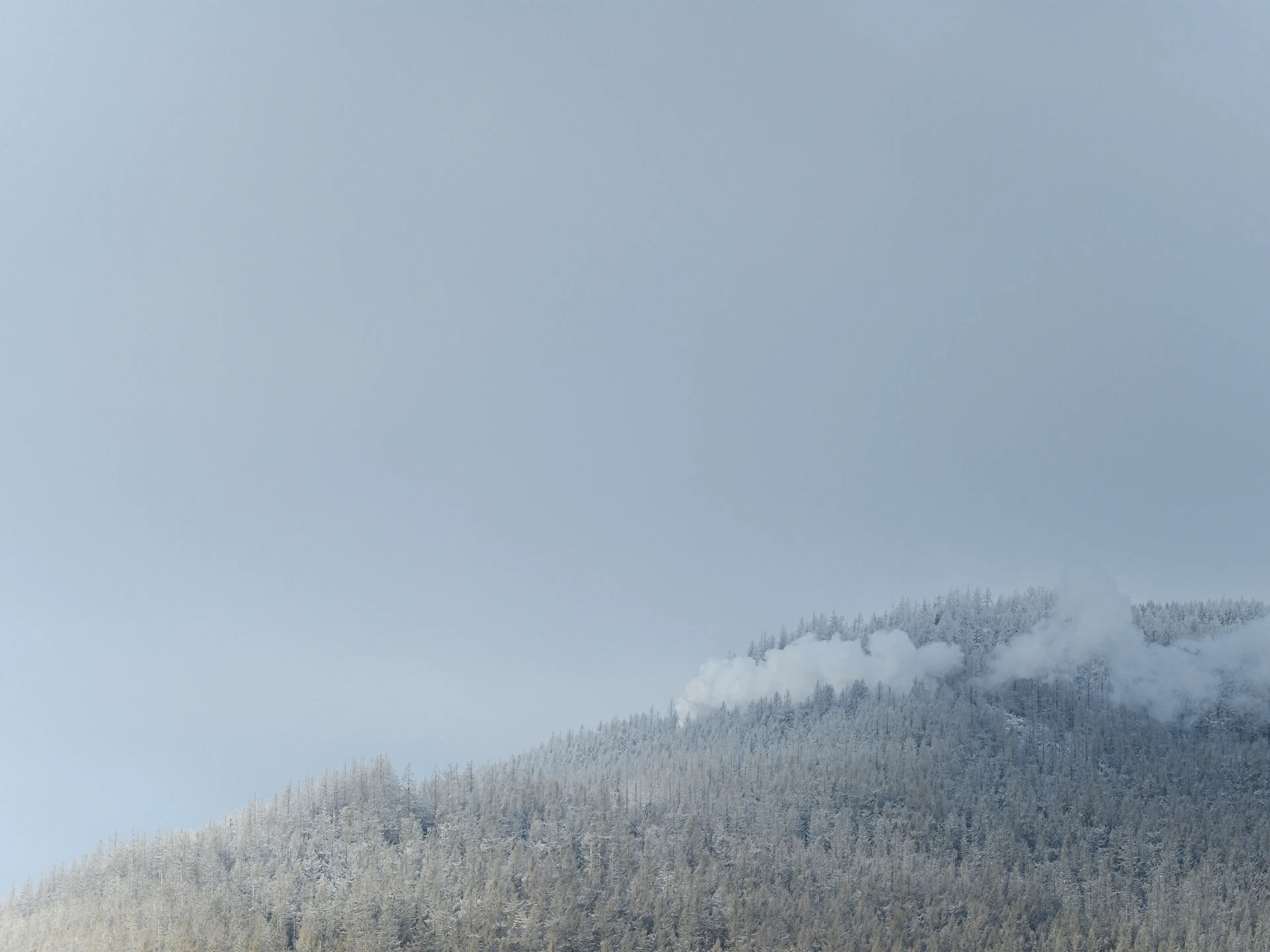 Der Dampf der Brockenbahn auf dem Weg zum Gipfel ist von Schierke aus gut zusehen