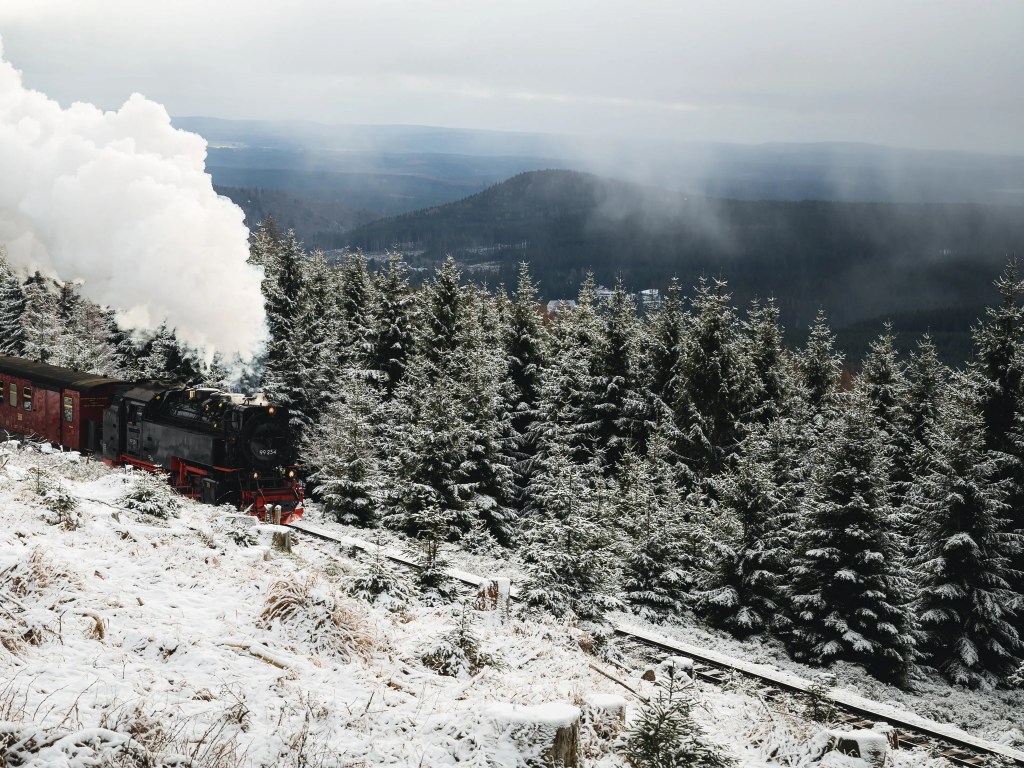 Unter Volldampf fährt der Zug der Brockenbahn in Richtung Gipfel.